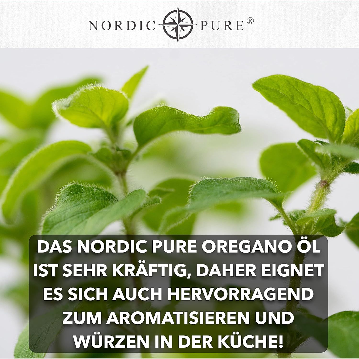 Nordic Pure Oreganoöl – 80 % Carvacrol