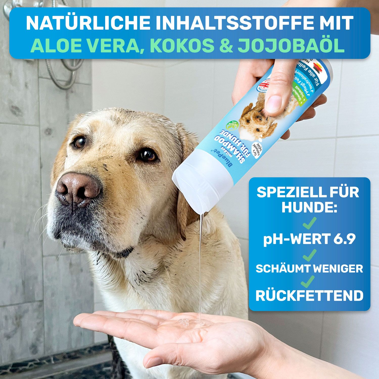 Hund in Dusche. Flasche Shampoo wird gehalten. Text: Natürliche Inhaltsstoffe mit Aloe Vera, Kokos & Jojobaöl.