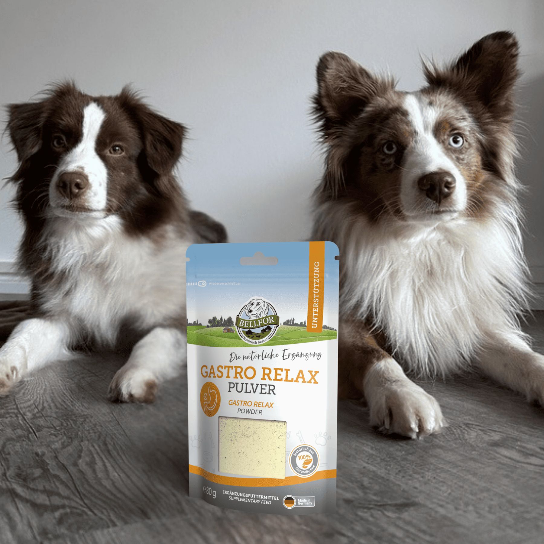 Zwei Hunde neben einer Pulverpackung. Aufschrift: Gastro Relax Pulver. Weiße Verpackung.