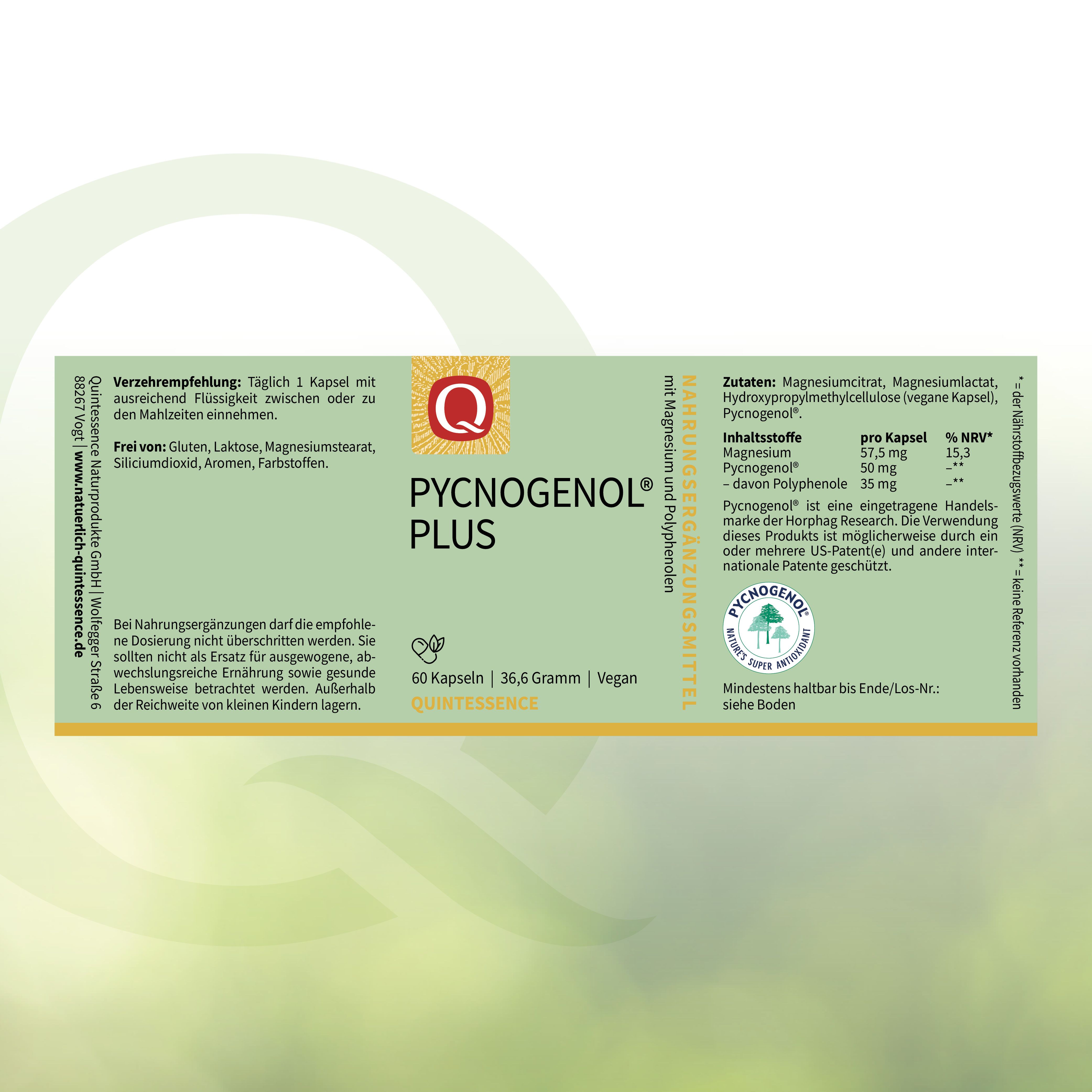Produktverpackung mit Text: Pycnogenol Plus, 60 Kapseln, Vegan. Inhaltsstoffe und Verzehrempfehlung. Logo: Quintessence.