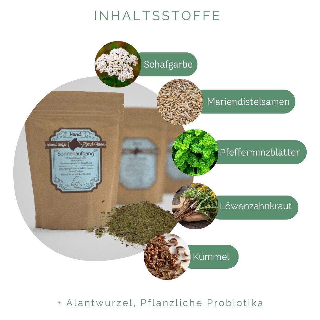 Braune Kräutertüte, daneben Kräuter und Samen. Beschriftung: Schafgarbe, Mariendistelsamen, Pfefferminzblätter, Löwenzahnkraut, Kümmel.