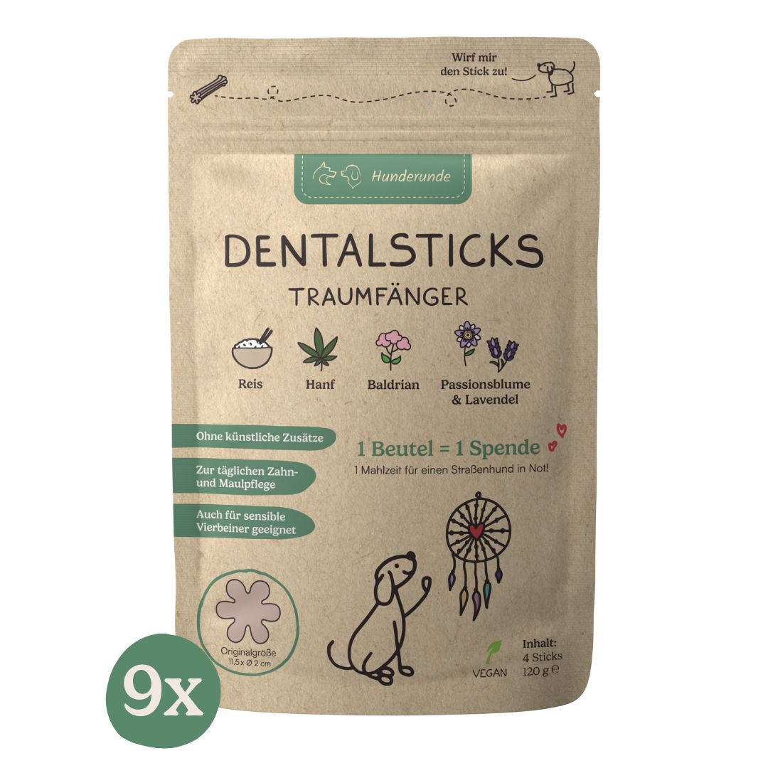 Hunderunde Dentals Traumfänger