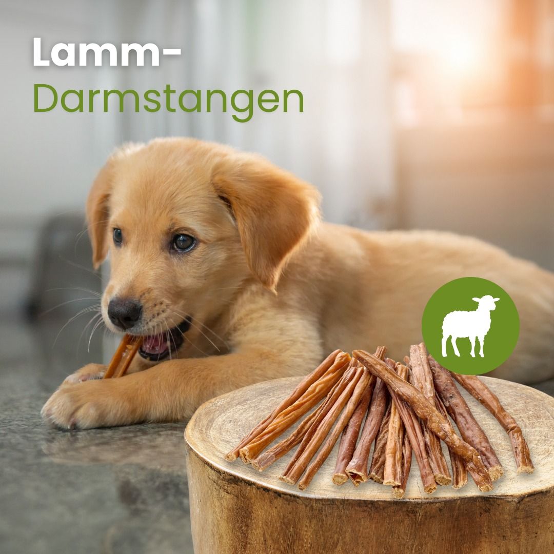 Ein Haufen Lamm-Darmstangen auf weißem Hintergrund.