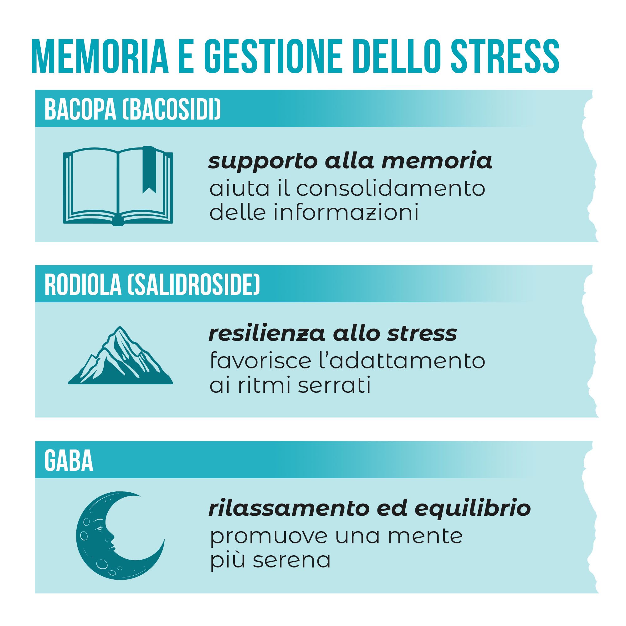 Infografik zu Gedächtnis und Stressbewältigung mit Symbolen für Buch, Berg und Mond.