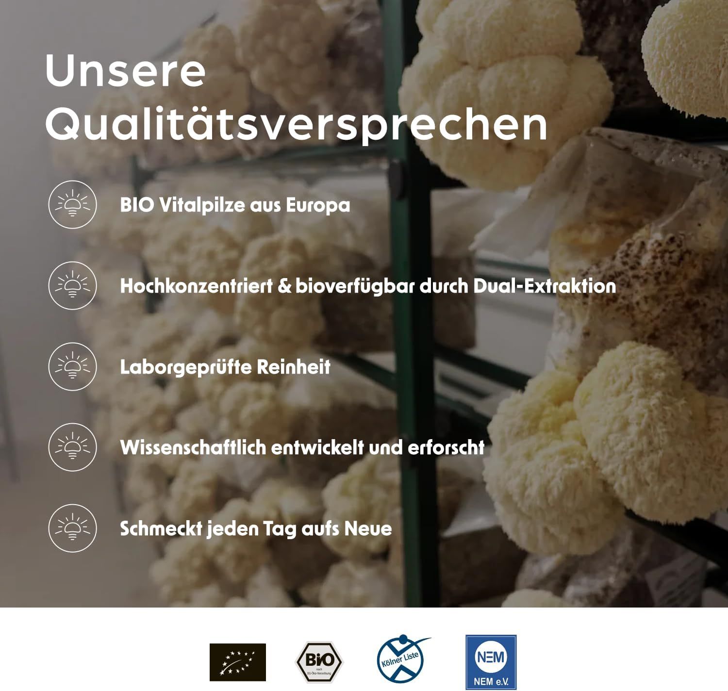 Regal mit Vitalpilzen. Text: BIO Vitalpilze aus Europa, hochkonzentriert, laborgeprüfte Reinheit, wissenschaftlich entwickelt.