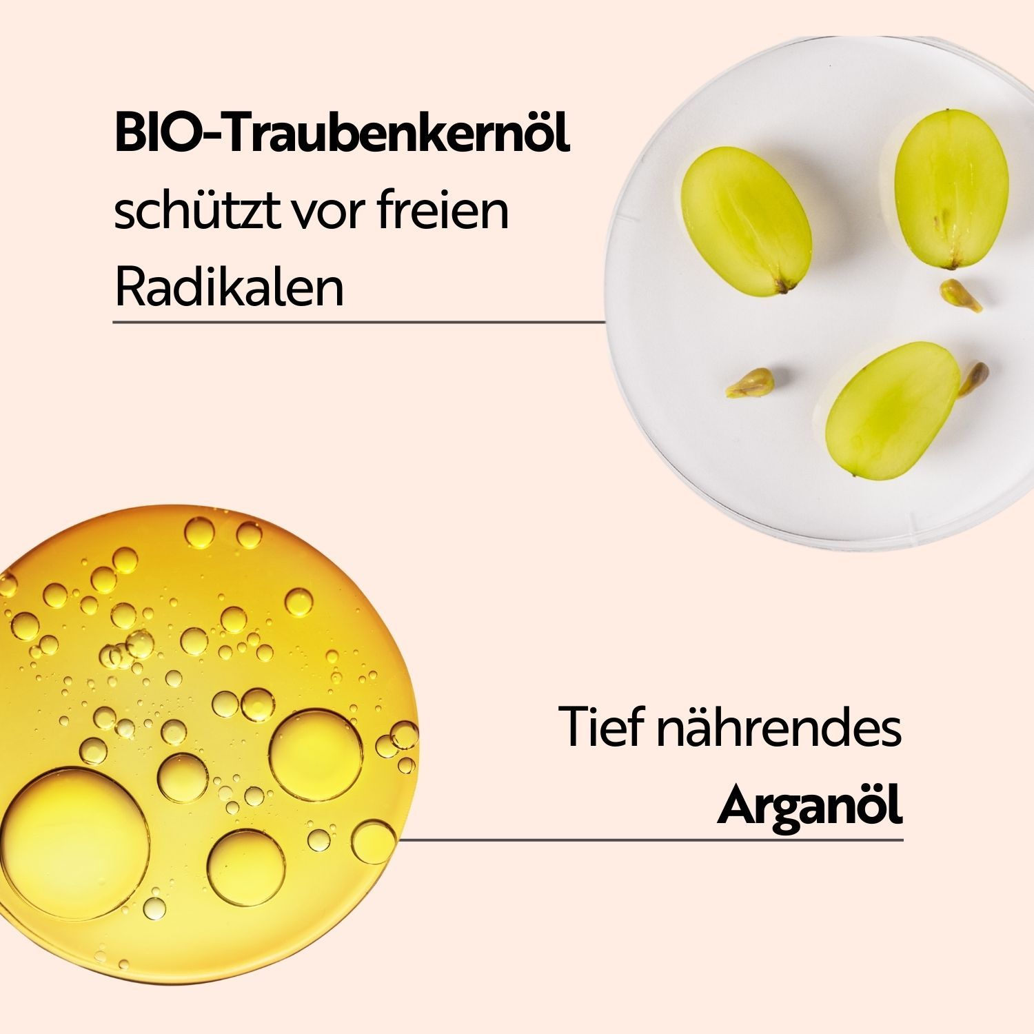 Nahaufnahme von Traubenkernöl und Arganöl. Trauben und Öltröpfchen. Tief nährendes Arganöl. Schützt vor freien Radikalen.