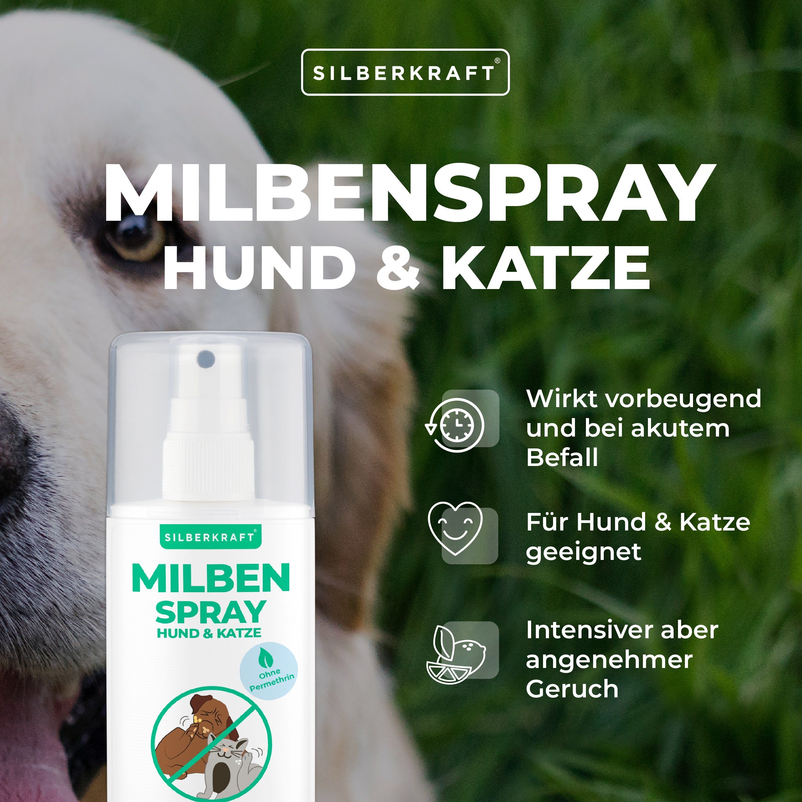 SILBERKRAFT Milbenspray Hund & Katze