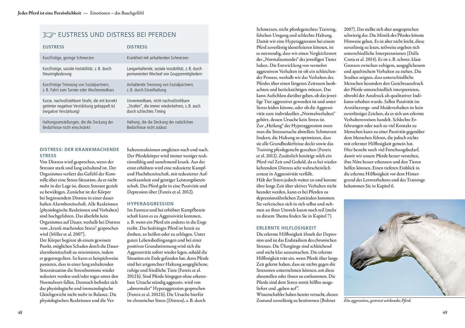 Forschung trifft Pferd