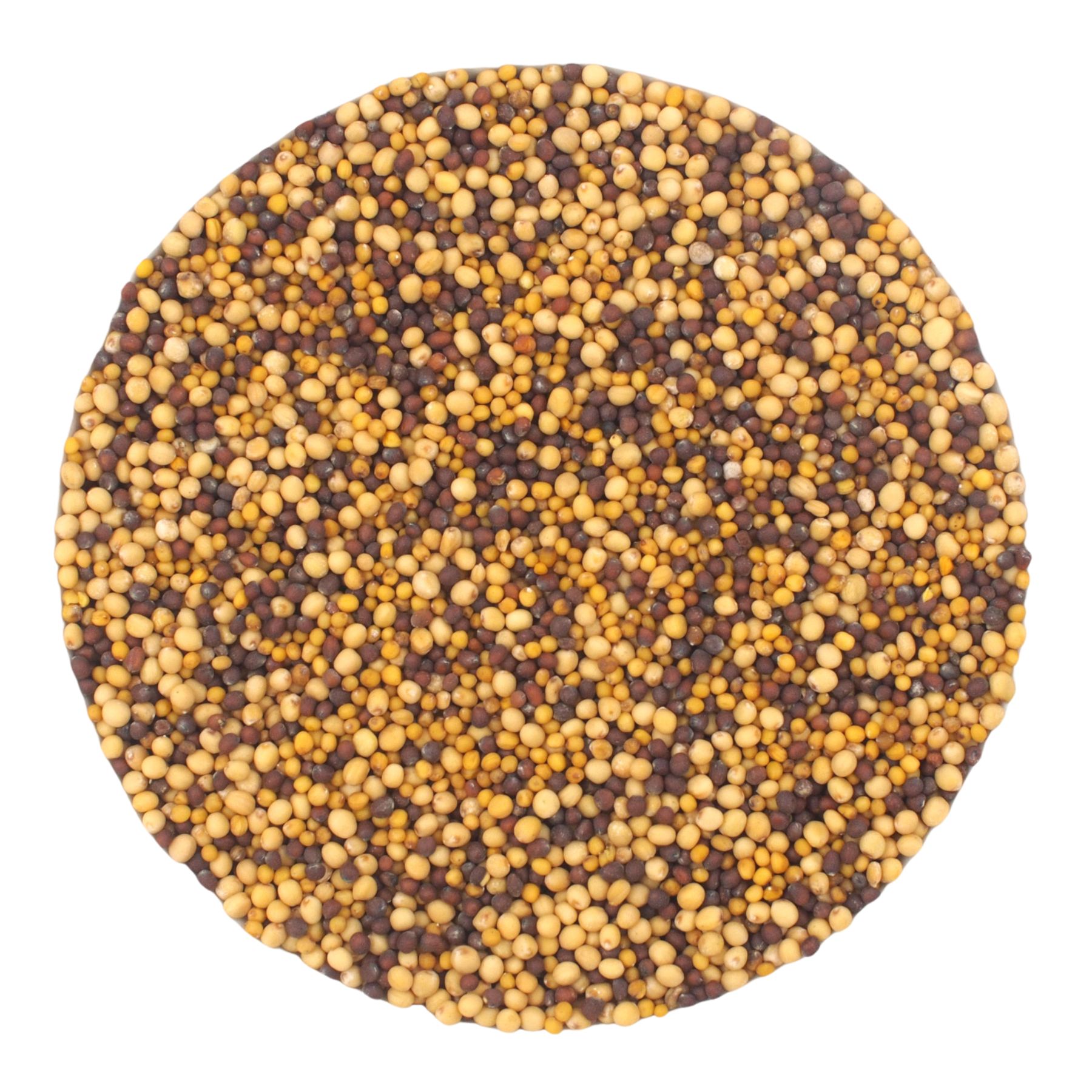 PEPPERMINTMAN Bunter Senf, Bio