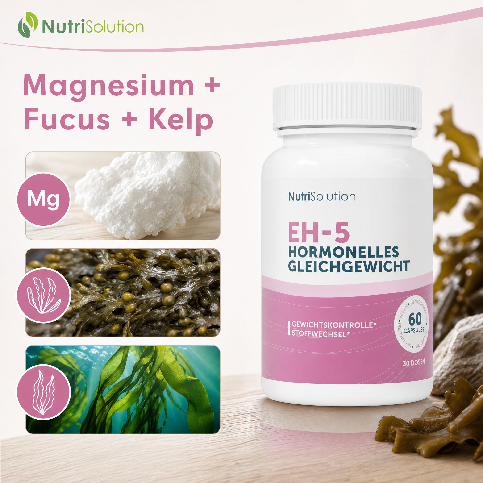 NutriSolution EH-5 Kapselbehälter mit Magnesium, Fucus und Kelp-Darstellungen.