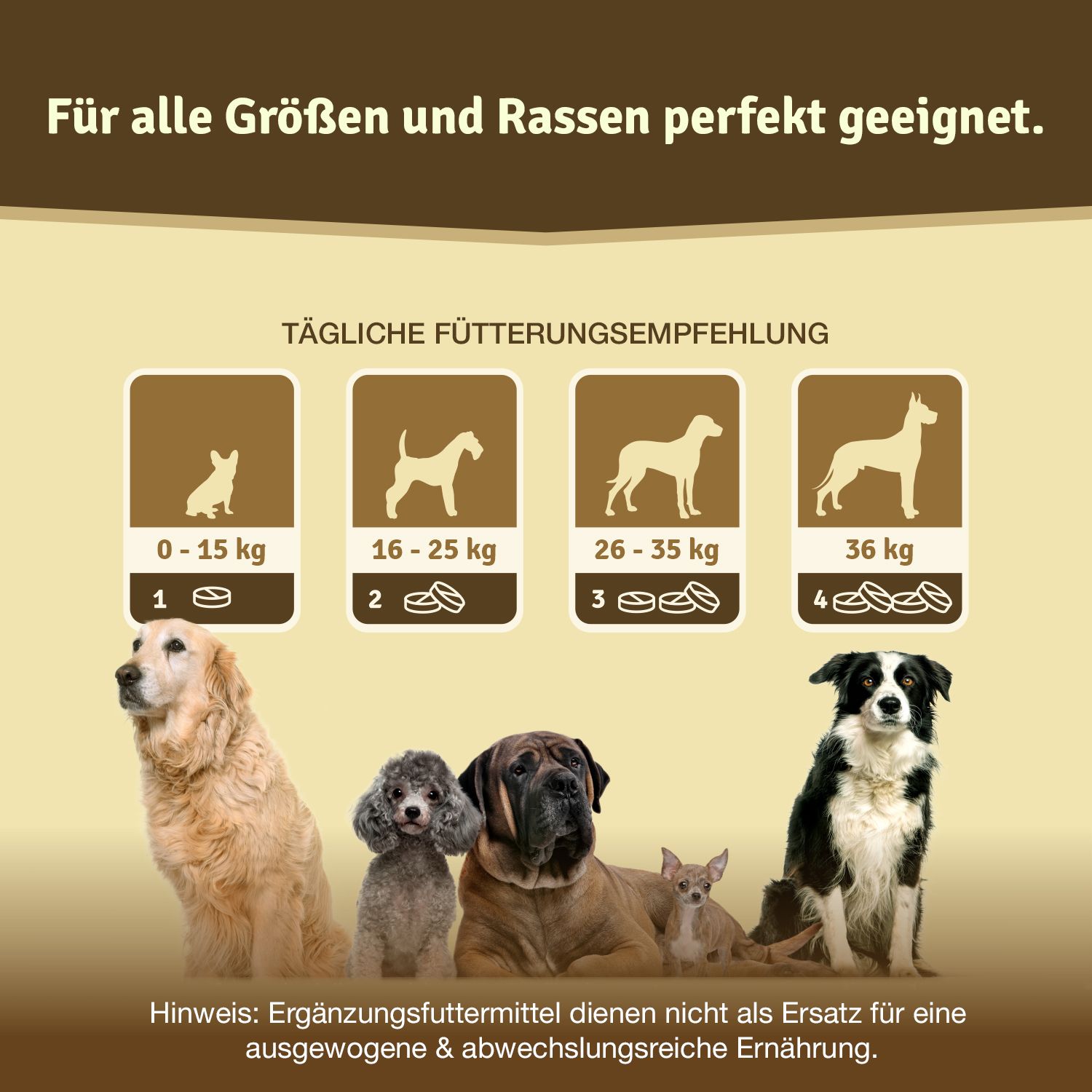Tägliche Fütterungsempfehlung für Hunde verschiedener Größen. Hunde verschiedener Rassen im Vordergrund.