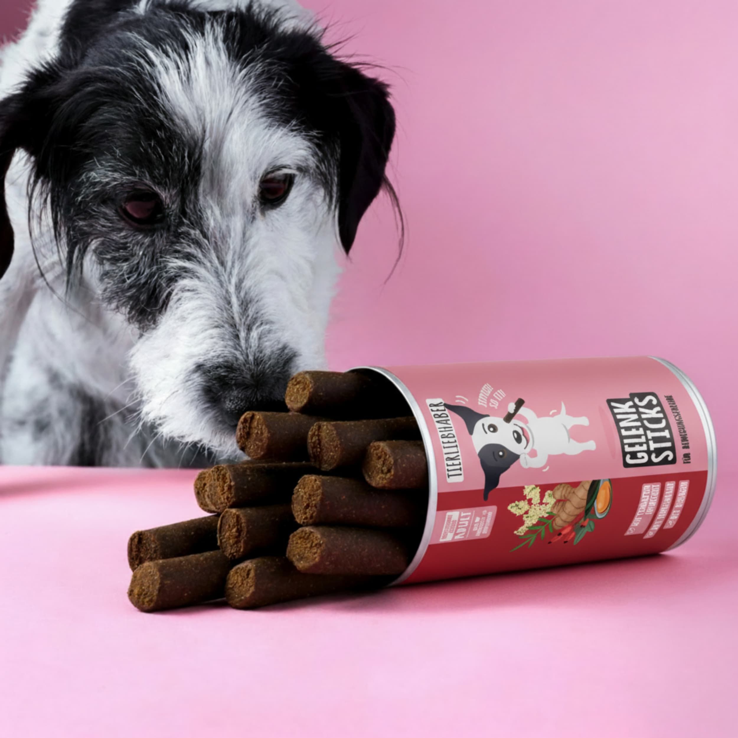 Hund schaut in eine offene Dose Tierliebhaber Gelenk Sticks.