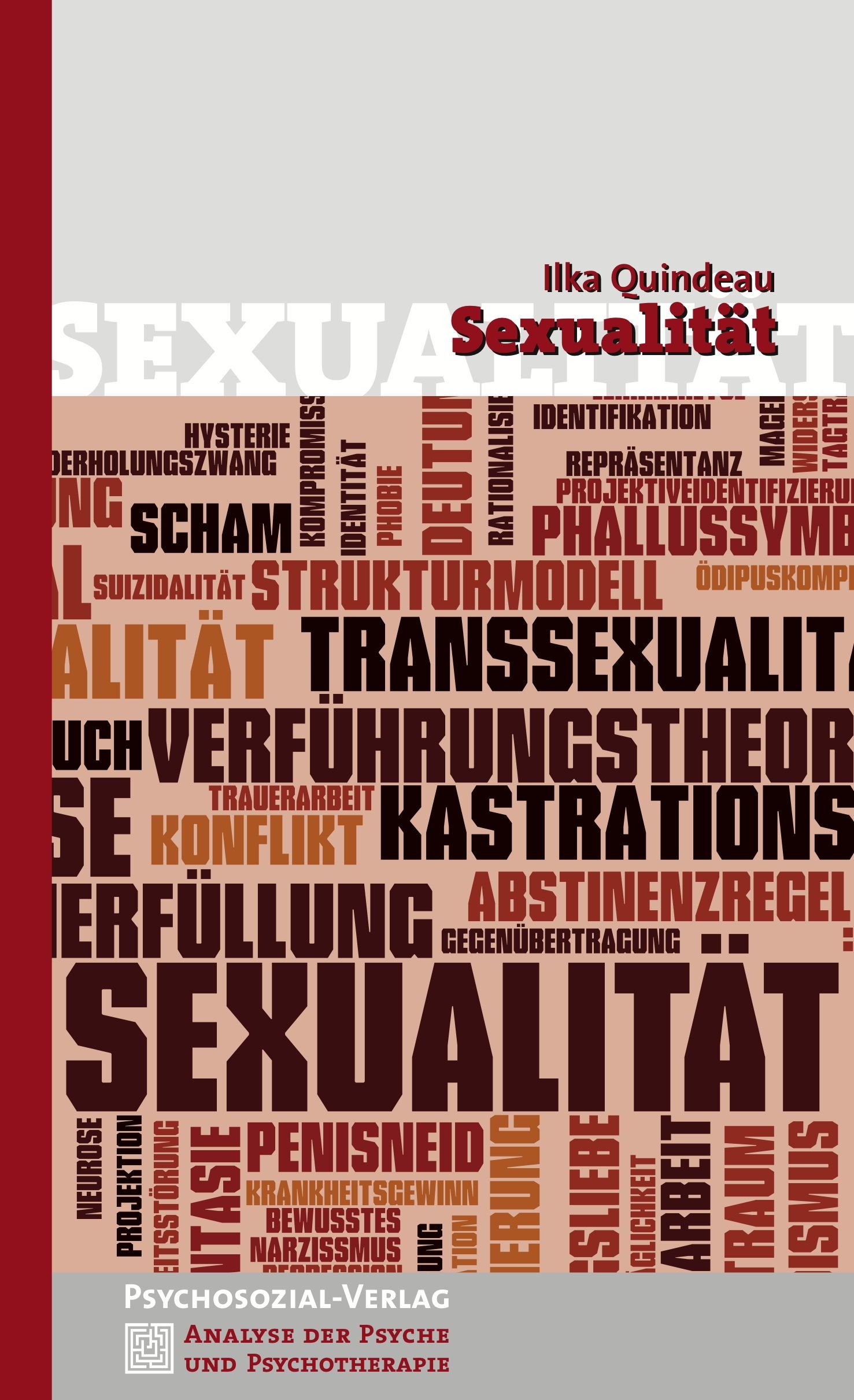 Buchcover mit dem Titel "Sexualität" von Ilka Quindeau. Wörter wie "Transsexualität" und "Penisneid" sind sichtbar.