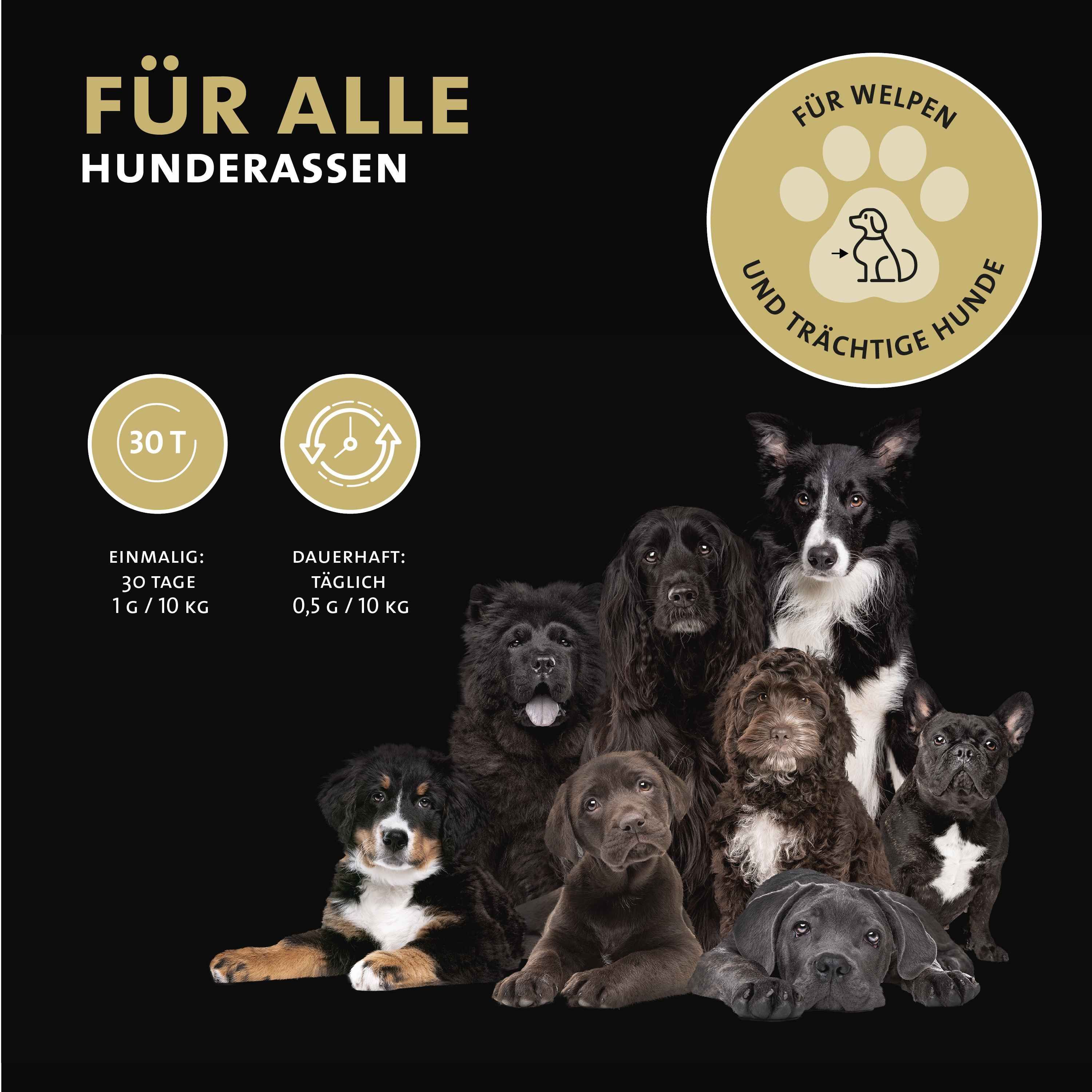 Peticare Natürliches Ergänzungsfutter für Herz & Kreislauf Pulver für Hunde