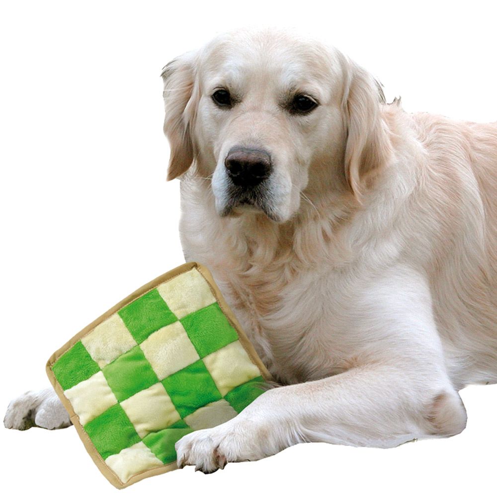 Hund liegt neben grün-weiß kariertem Spielzeug. Quadratische Form, weiches Material.