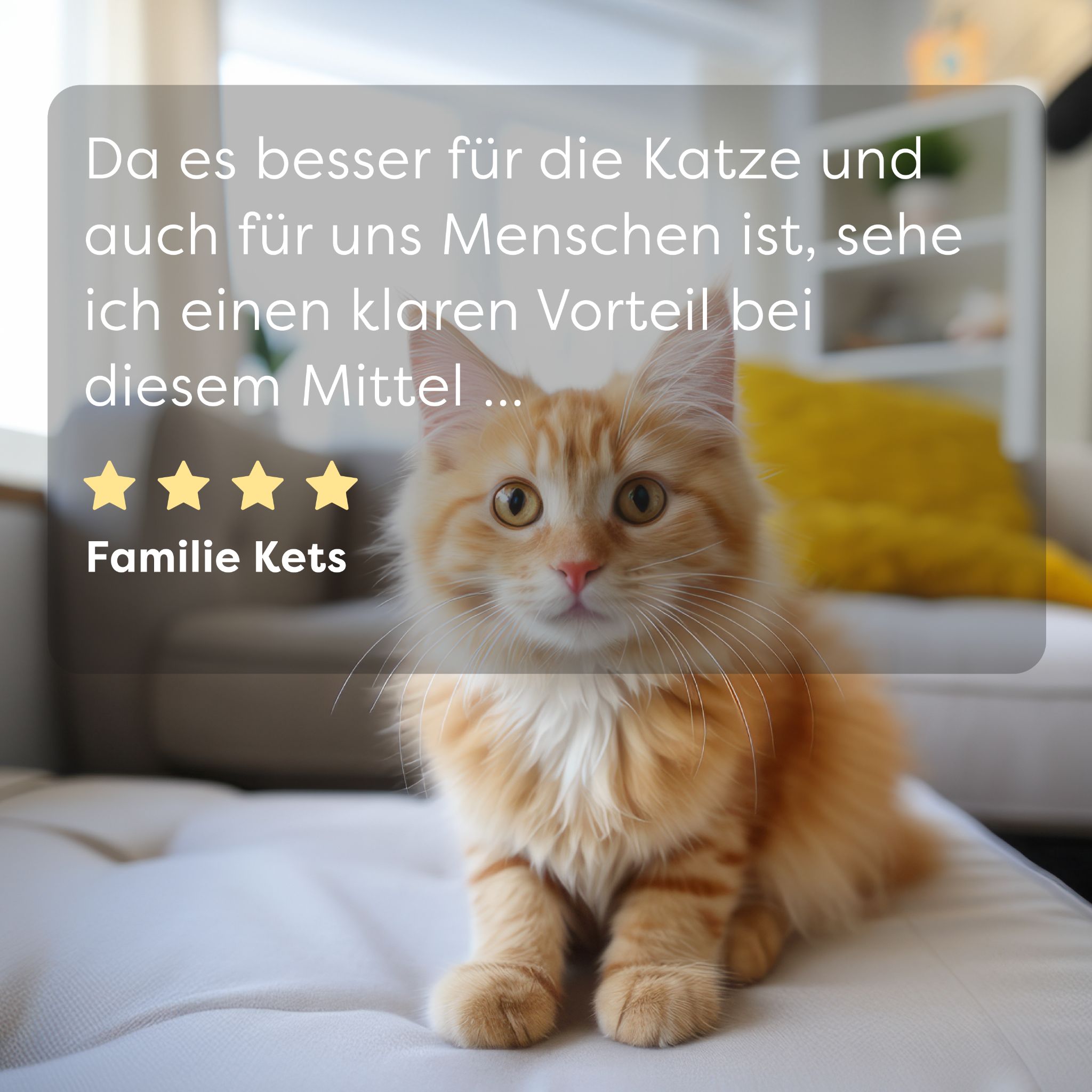 Dr. SAM Nupet6 - Floh- & Zecken Spot-on mit Citronellal für Hunde und Katzen