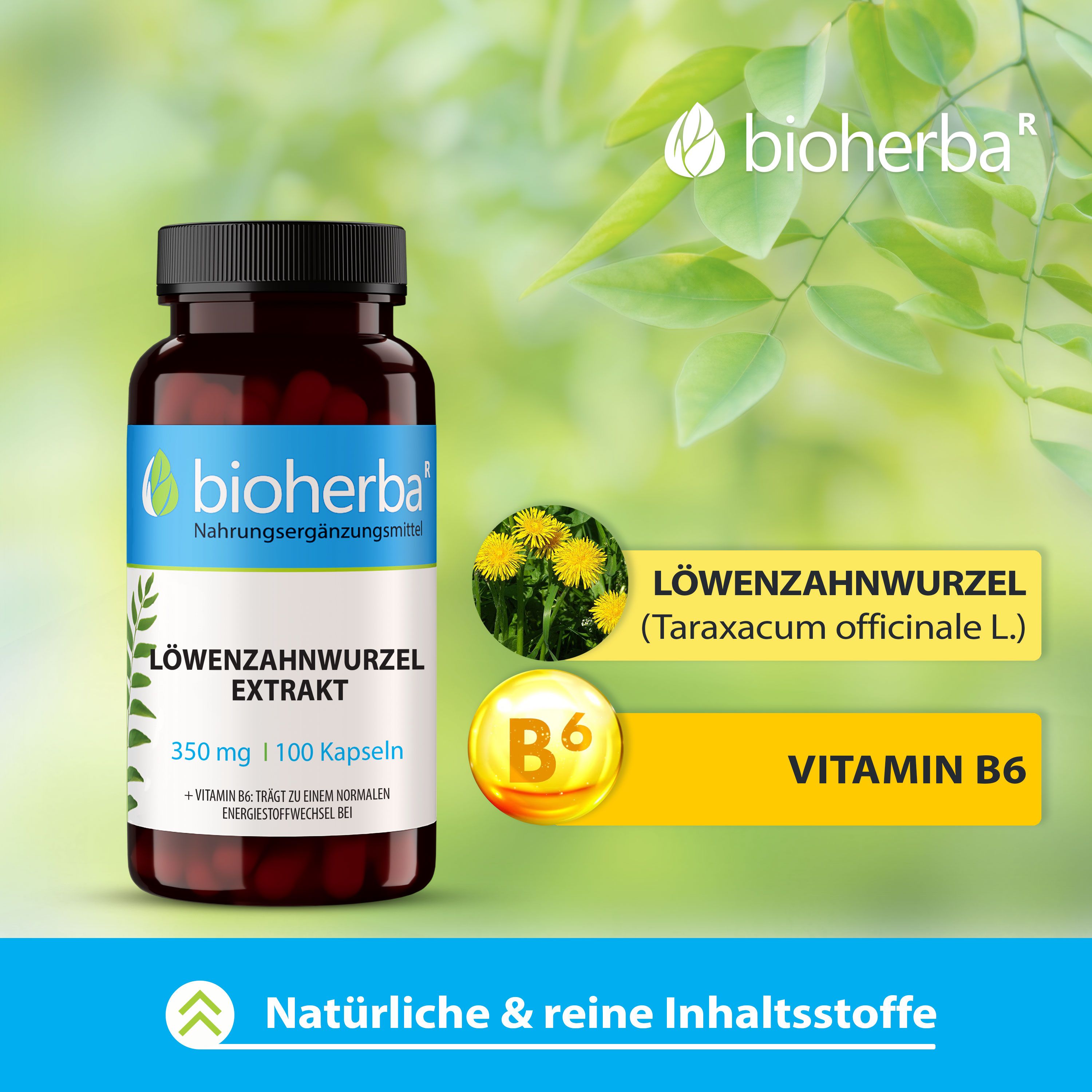 Bioherba Löwenzahnwurzel Extrakt Kapseln