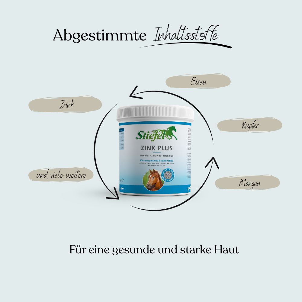 Weißes Stiefel Zink Plus-Behälter, umgeben von Pfeilen und Inhaltsstoff-Namen. Text: Für eine gesunde und starke Haut.