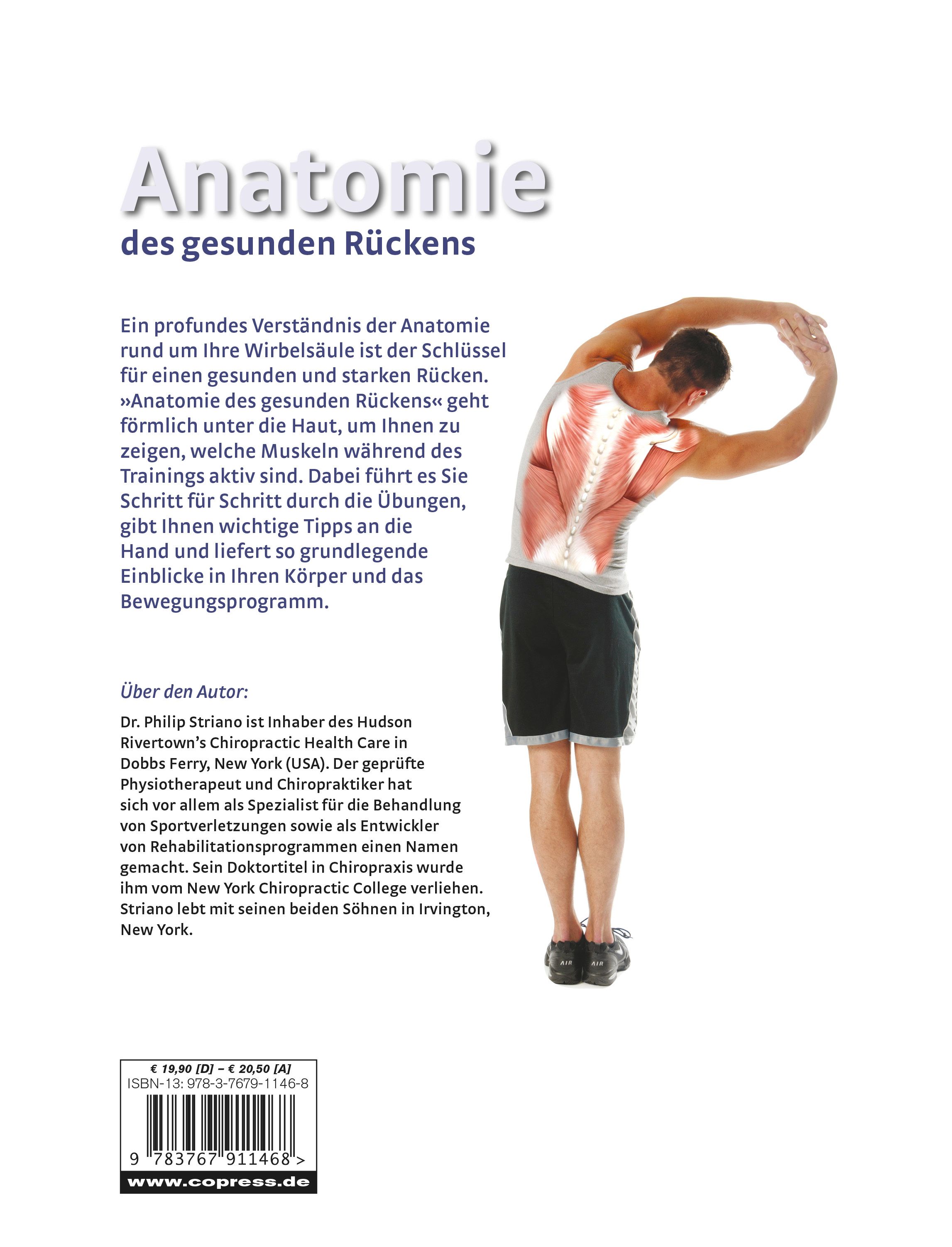 Anatomie des gesunden Rückens