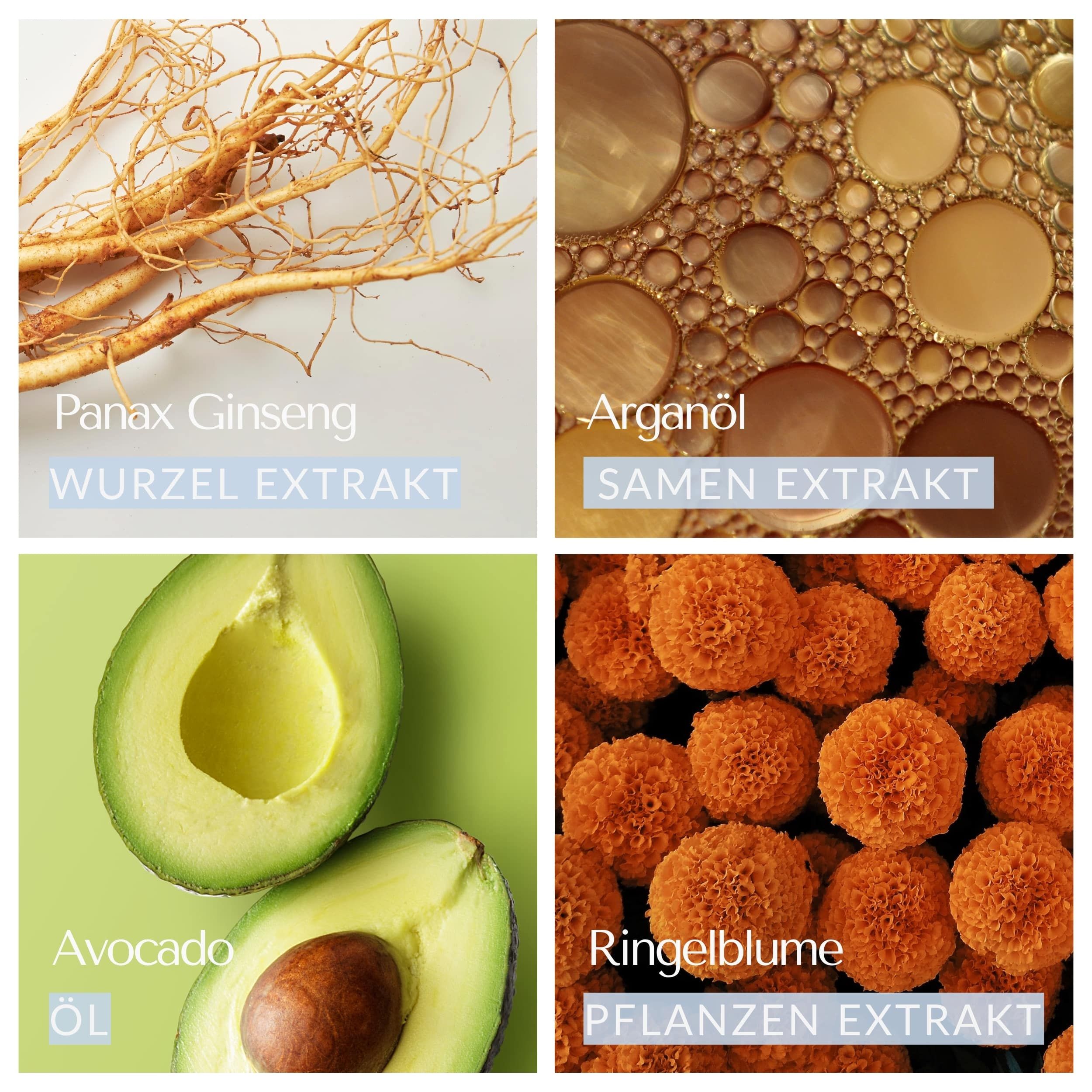 Vier Bilder: Panax Ginseng, Arganöl, Avocado, Ringelblume. Beschriftungen mit Namen und Extrakt.