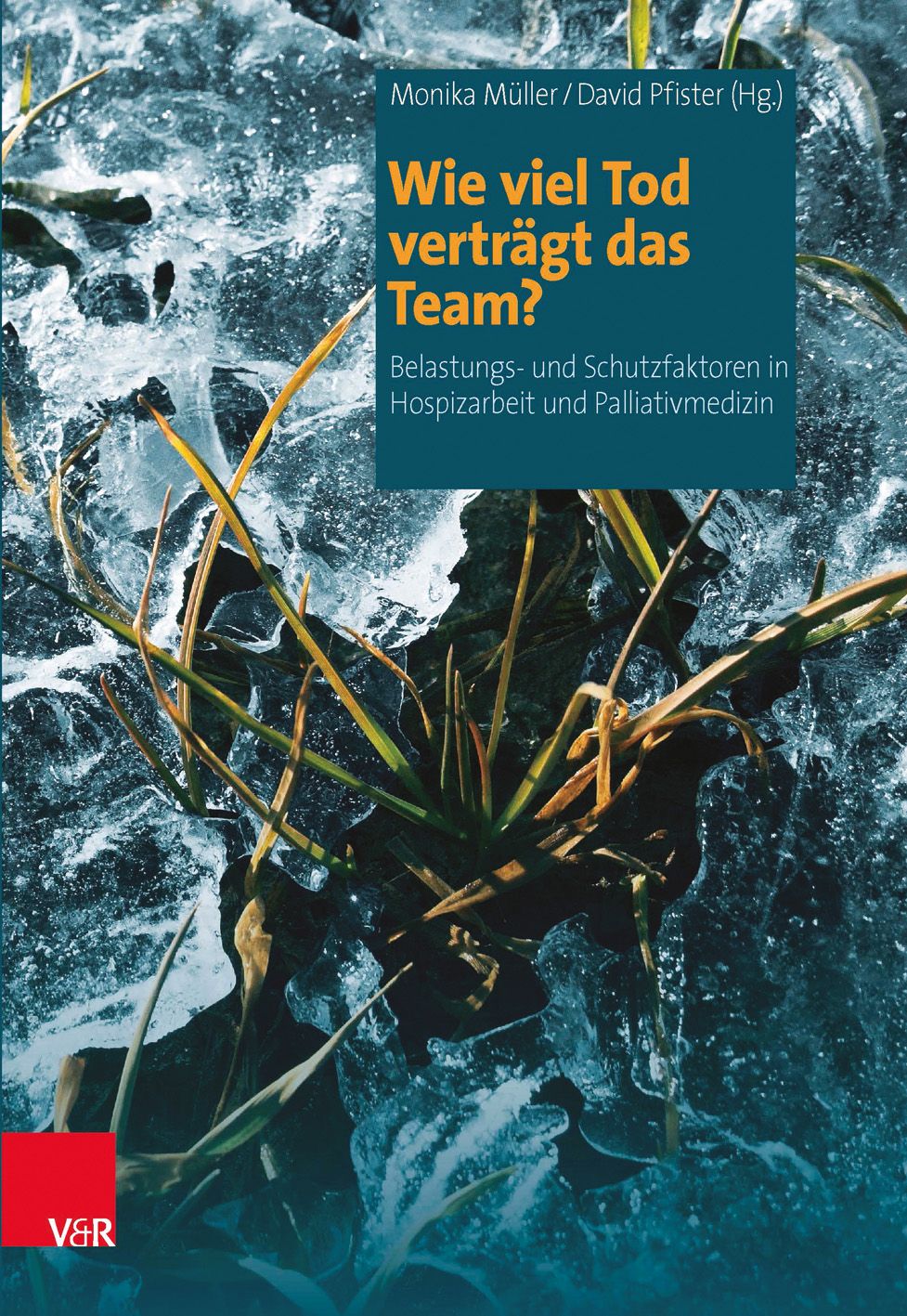 Buchcover mit Titel: Wie viel Tod verträgt das Team? Autoren: Monika Müller, David Pfister. V&R Verlag. Hintergrund: Eis und Pflanzen.