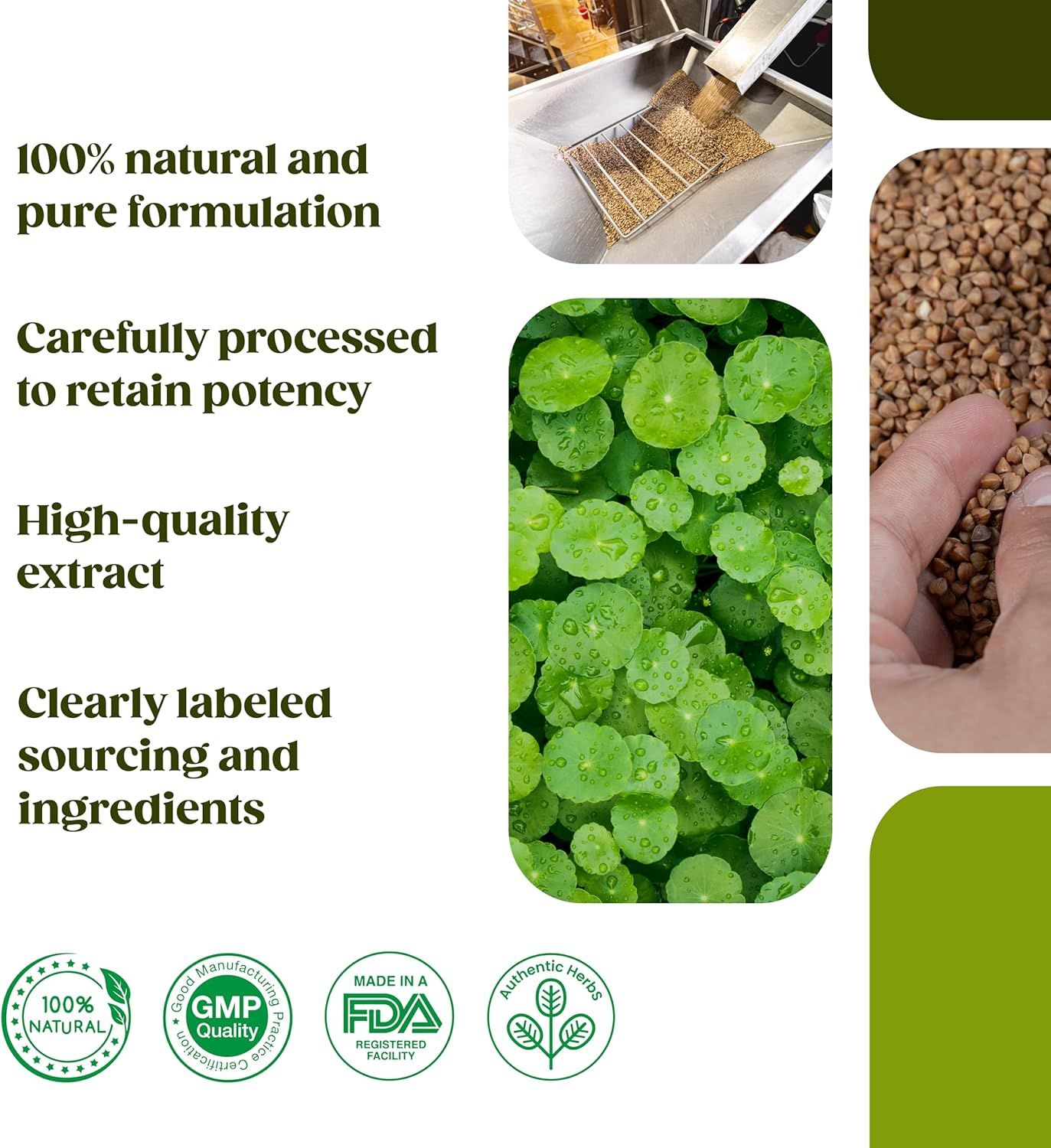 H&C Gotu Kola Kapseln