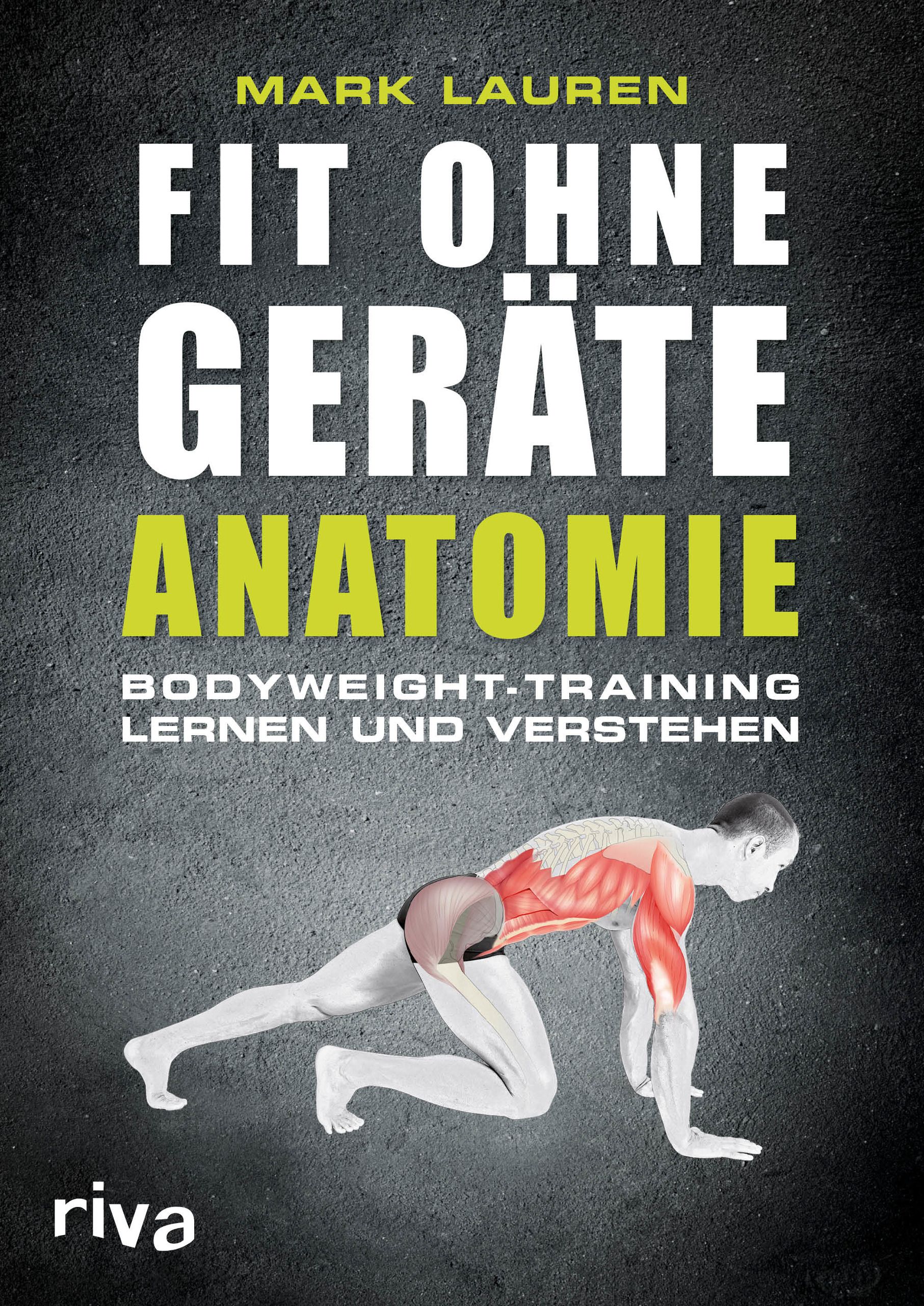 Buchcover: "Fit ohne Geräte - Anatomie". Titel in Weiß und Grün. Abbildung eines Mannes beim Bodyweight-Training.