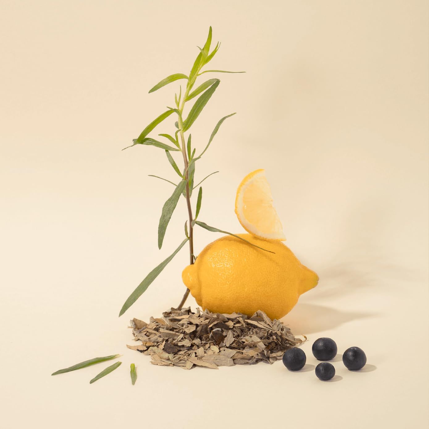 Zitrone, Blaubeeren, Kräuter auf einem Haufen. Gelber Hintergrund.