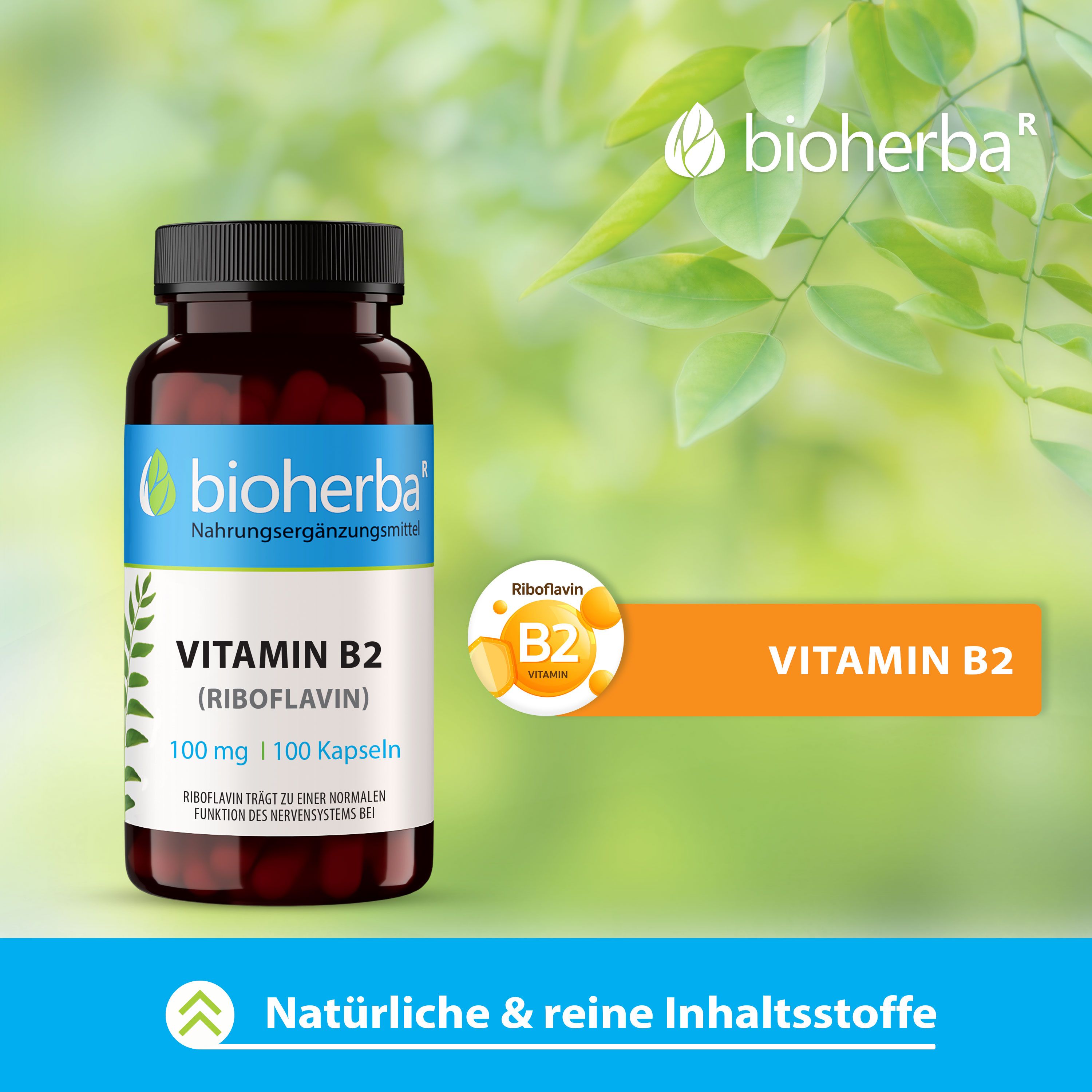 Bioherba Vitamin B2 (Riboflavin) Kapseln