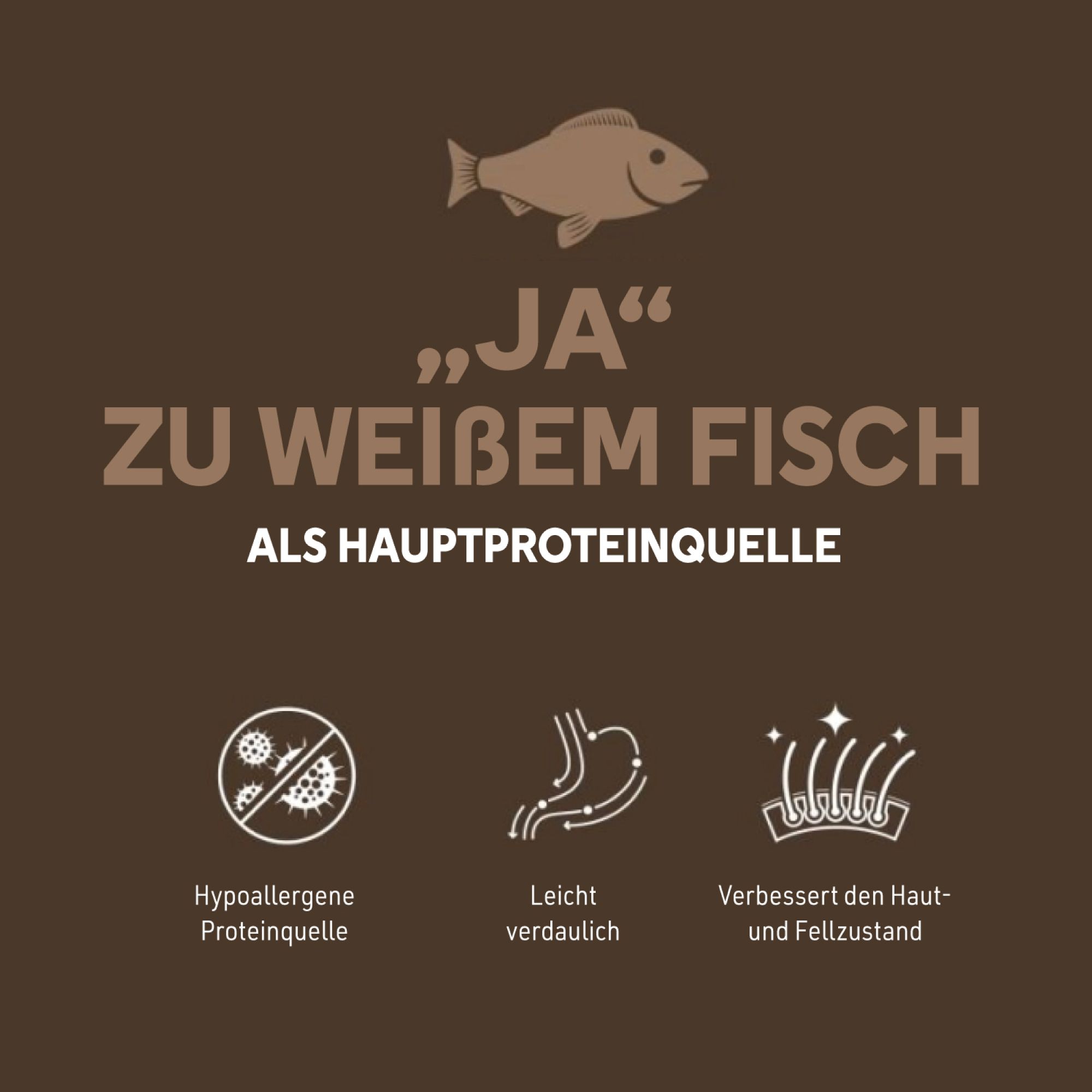 Brauner Hintergrund mit Text: Ja zu weißem Fisch als Hauptproteinquelle. Symbole: hypoallergene Proteinquelle, leicht verdaulich, verbessert Fell.