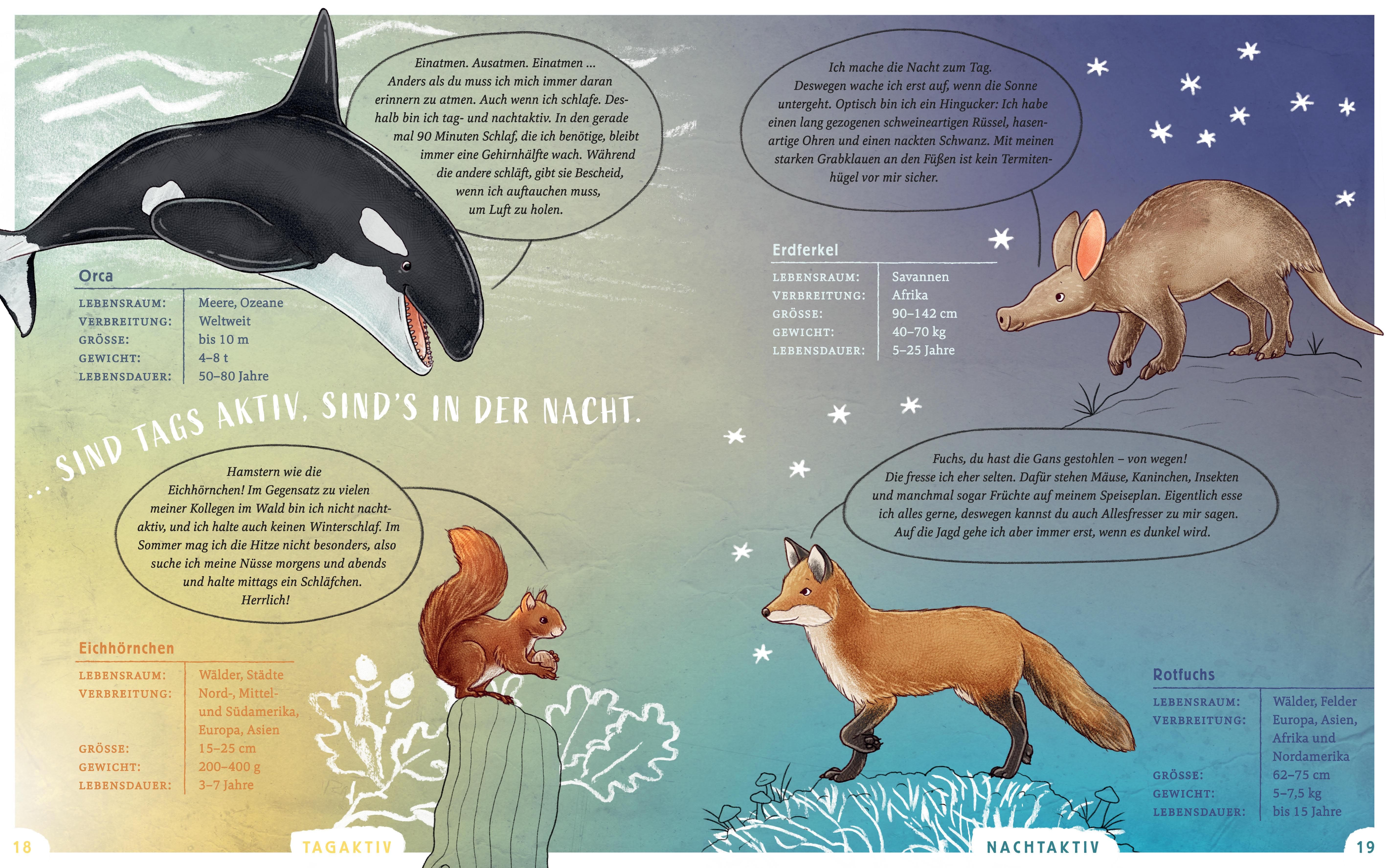 Buchseite mit Illustrationen von Tieren: Orca, Eichhörnchen, Fuchs und Erdferkel. Text in deutscher Sprache mit Informationen.