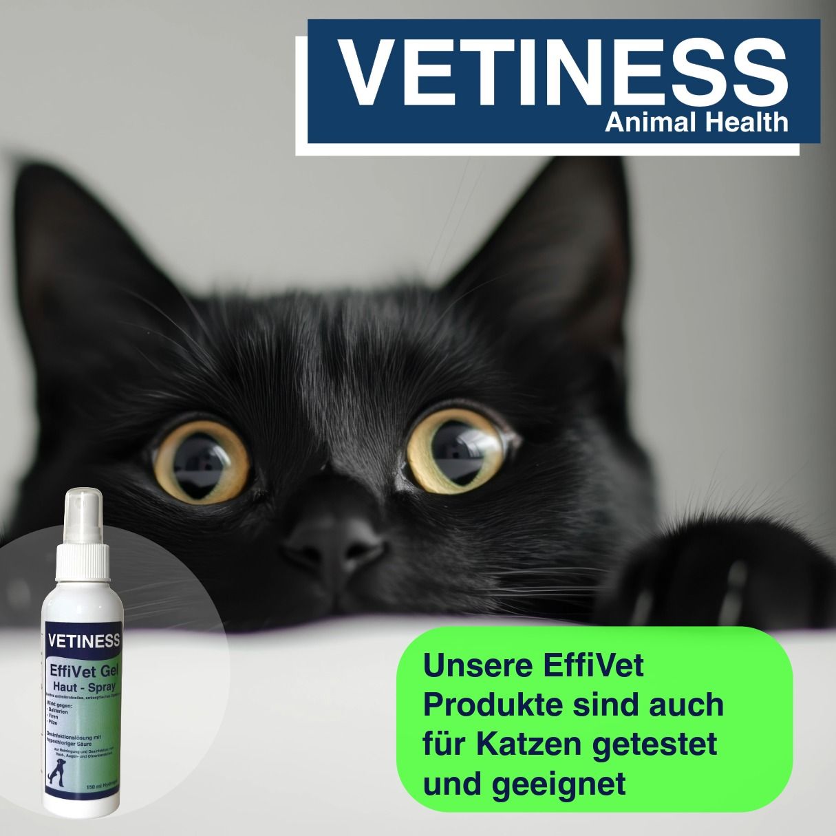 Vetiness EffiVet Gel Hautspray für Hunde und Katzen