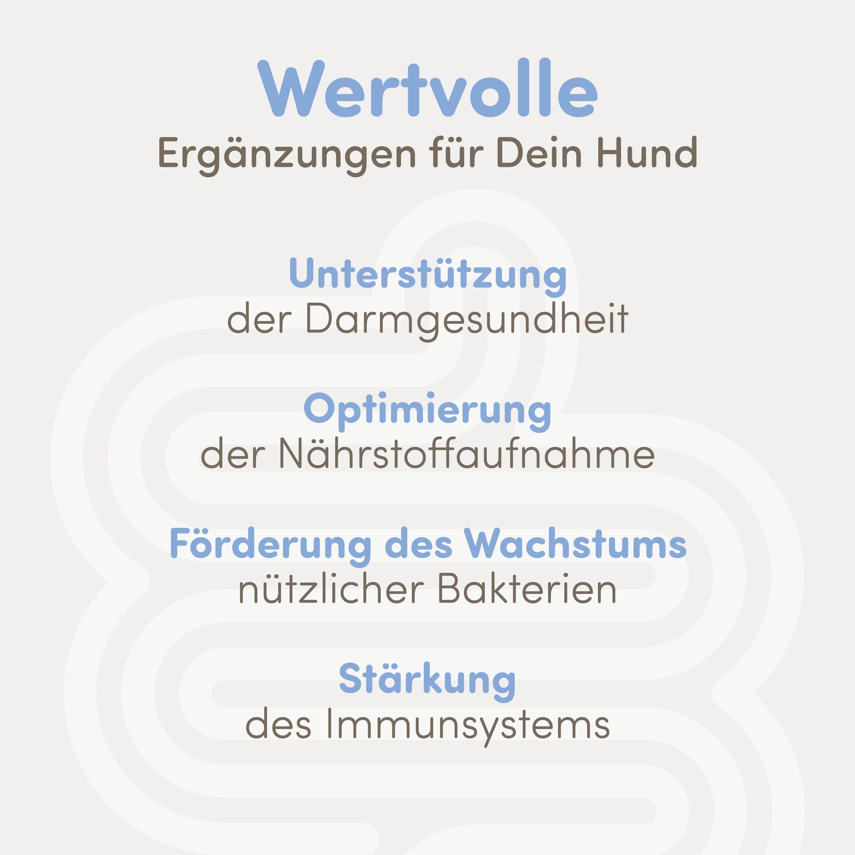Text auf blauem Hintergrund: Wertvolle Ergänzungen für Dein Hund. Unterstützung der Darmgesundheit, Optimierung der Nährstoffaufnahme, Förderung des Wachstums.