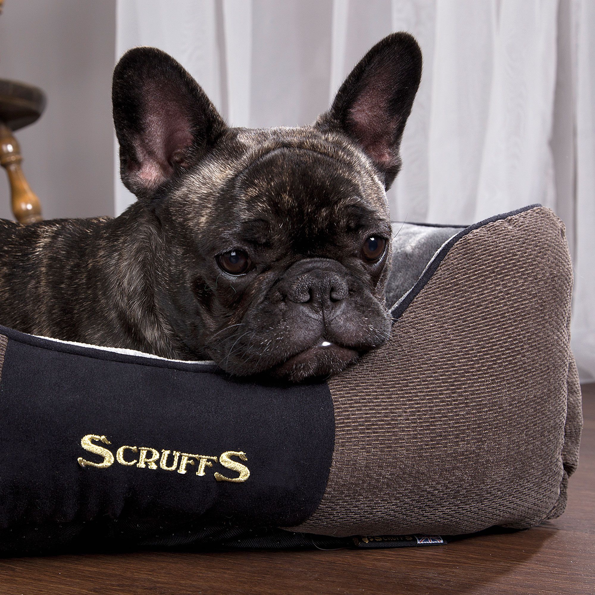 SCRUFFS® Chester Box Bett - Graphit - hochwertig - Anti-Rutsch-Noppen - Plüschstoff