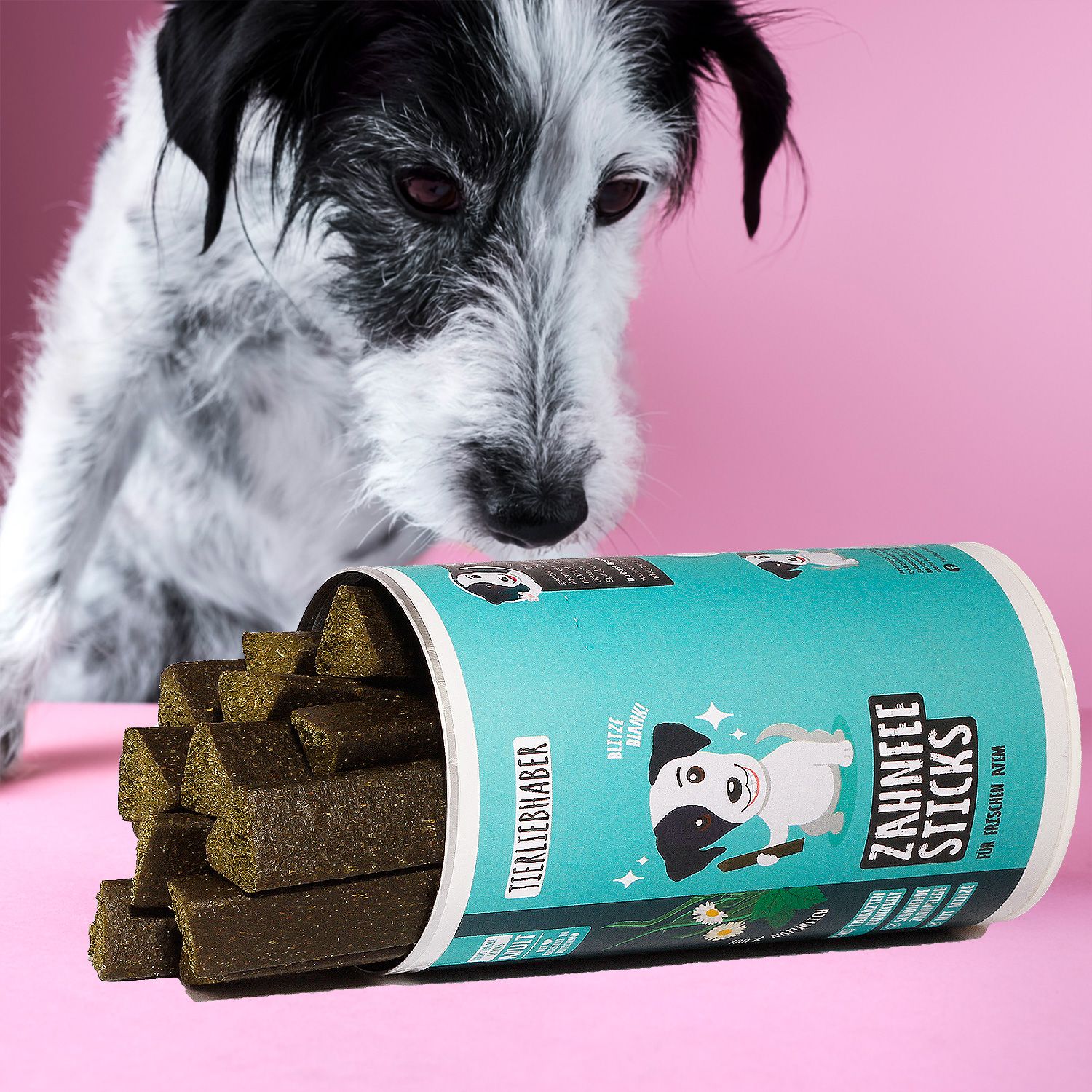 Geöffnete Dose Zahnfee Sticks, daneben Sticks. Dose mit Produktname und Hund-Illustration.