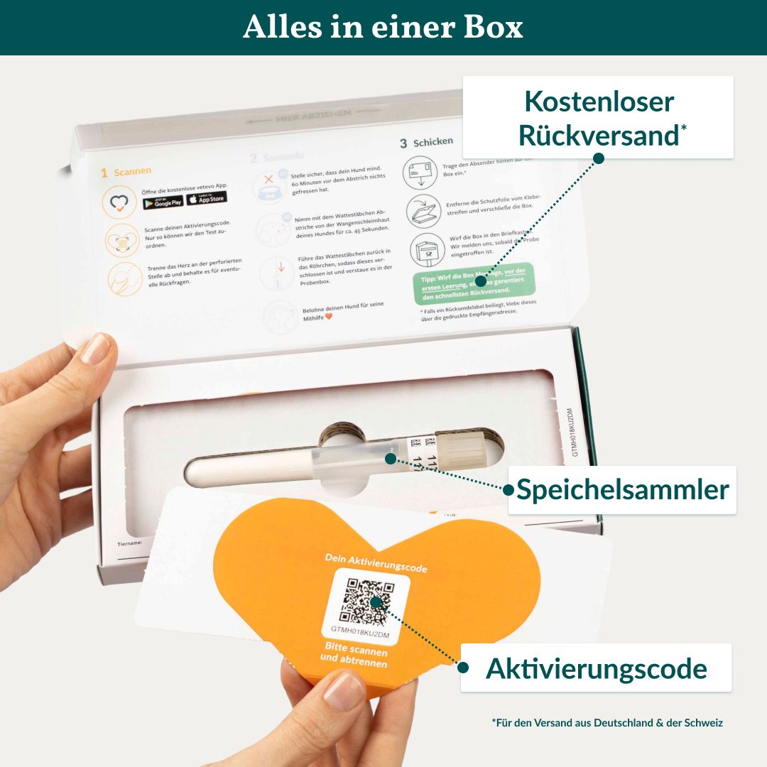 DNA-Test-Kit: Speichelsammler und Aktivierungscode in der Box.
