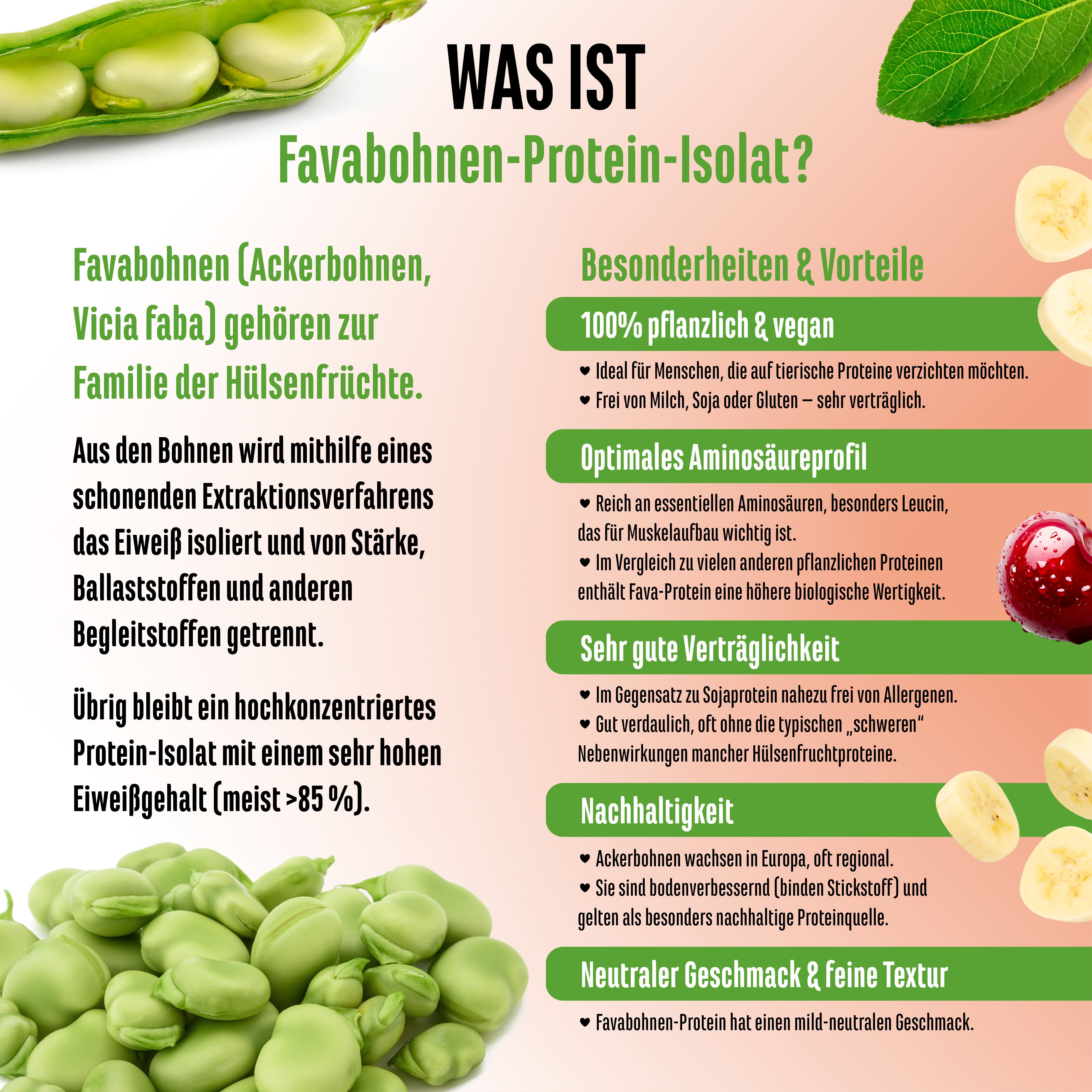 vit4ever Yummy Vegan Protein