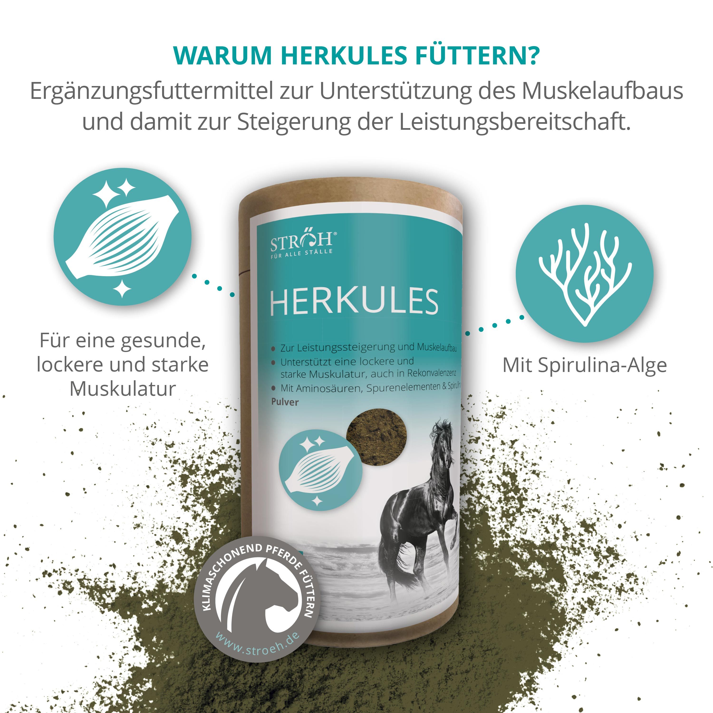 Zylindrische Dose Herkules. Text: Aminosäuren, Spurenelemente, Spirulina-Alge. Abbildung: Pferd. Braunes Pulver. Hintergrund: Grün.