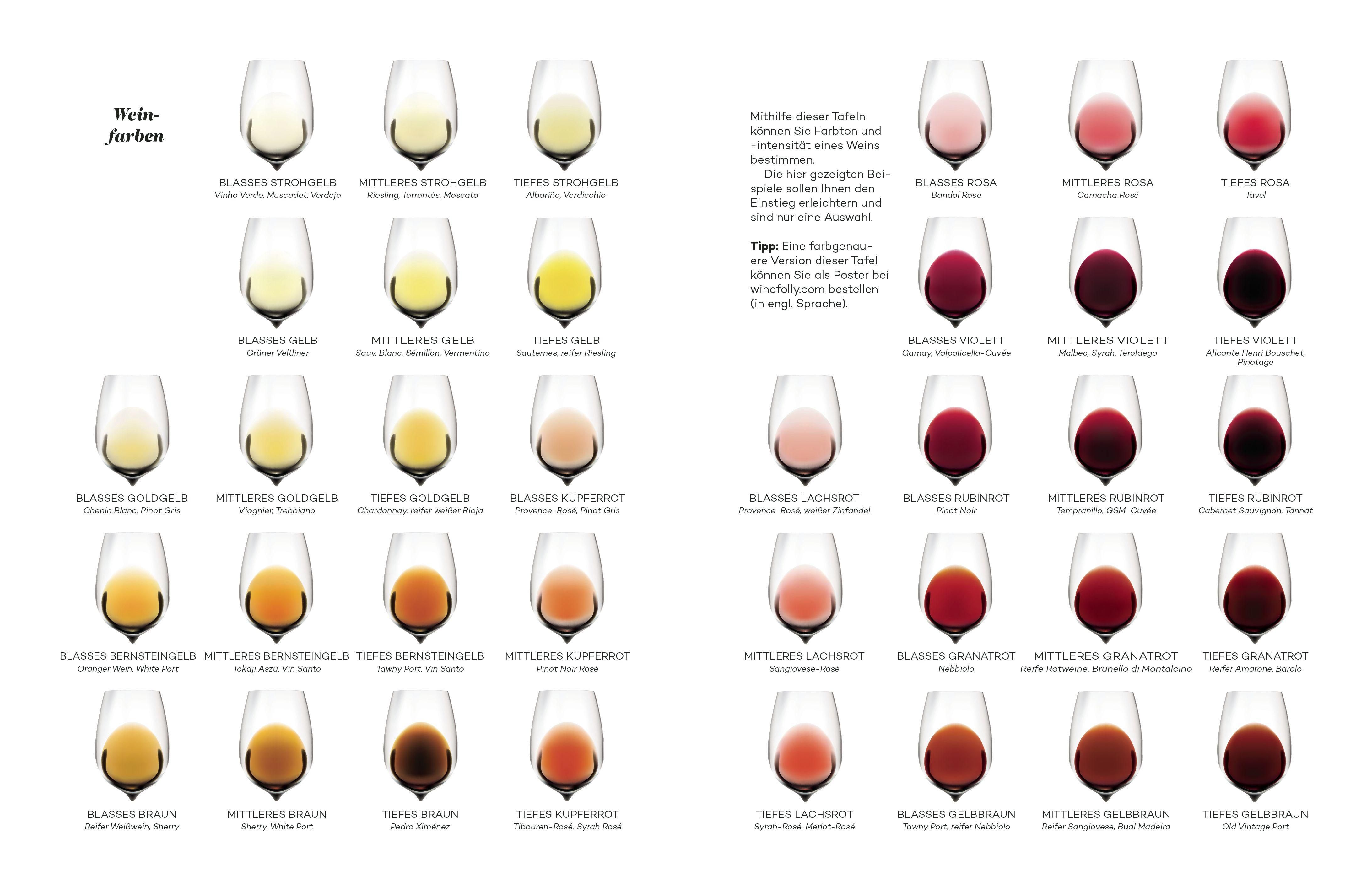 Buchseite mit Wein-Farben-Diagramm. Verschiedene Weinsorten in Gläsern dargestellt. Text in Deutsch.