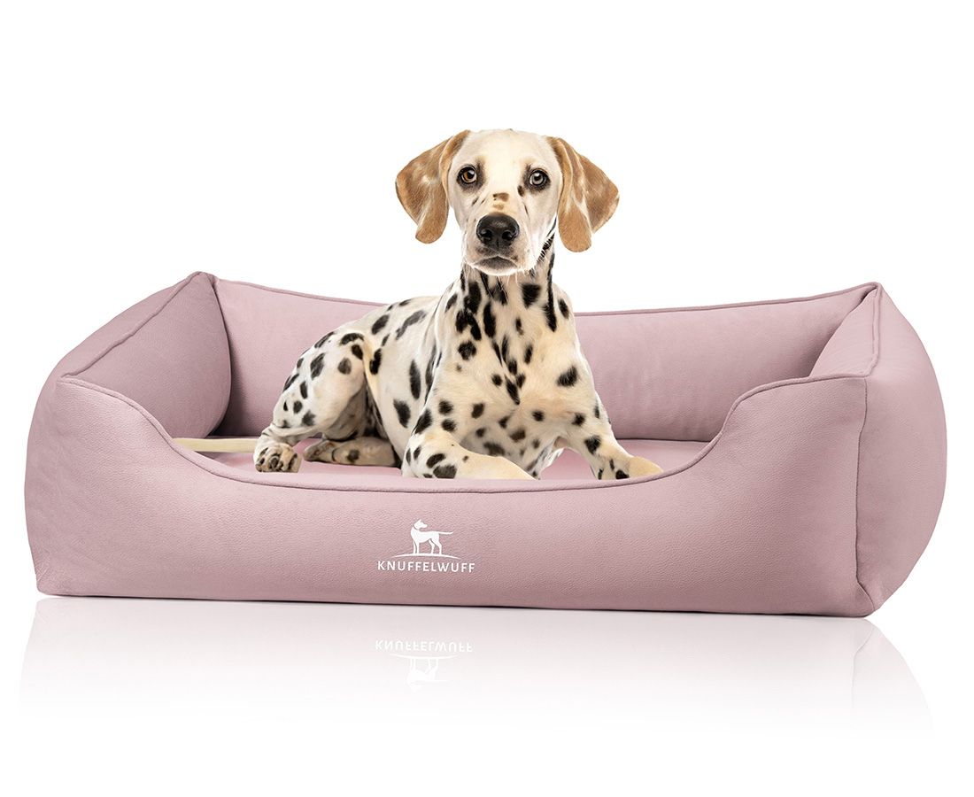 Rosa orthopädisches Hundebett mit Logo. Ein Dalmatiner liegt im Bett. Abgerundete Form mit erhöhten Seiten.