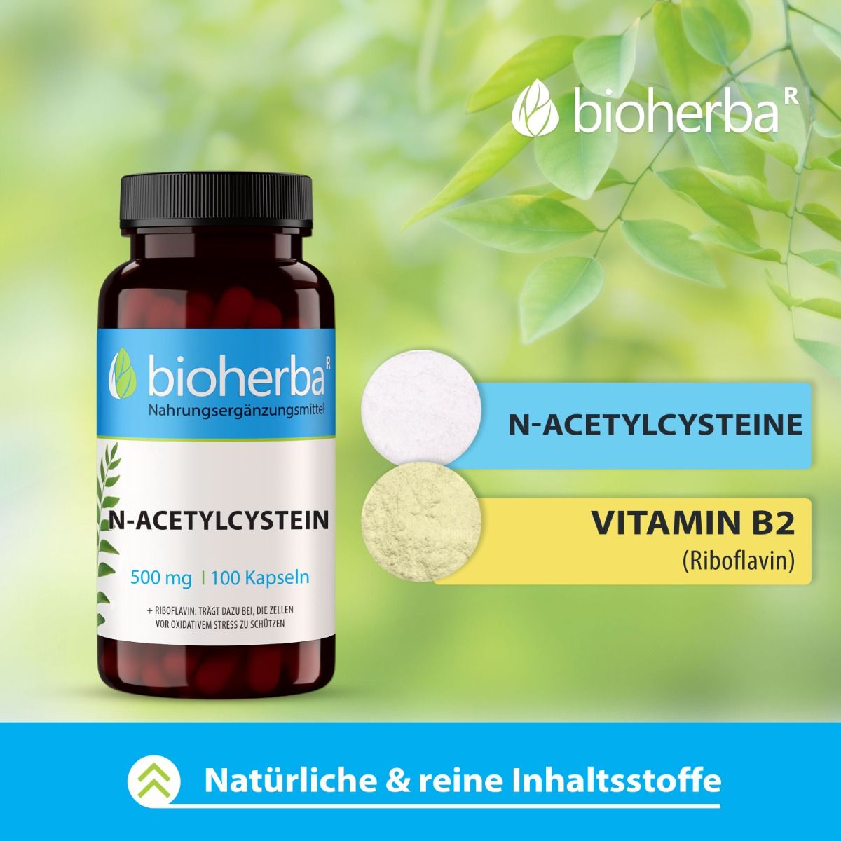 Braune Flasche mit schwarzen Deckel. Enthält N-Acetylcystein Kapseln. Marke: Bioherba. 100 Kapseln. Inhaltsstoffe: N-Acetylcystein, Vitamin B2.