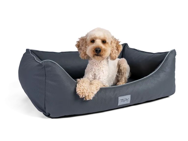 Graues Kunstlederbett für Hunde. Rechteckige Form mit erhöhten Seiten. Ein Hund liegt im Bett.