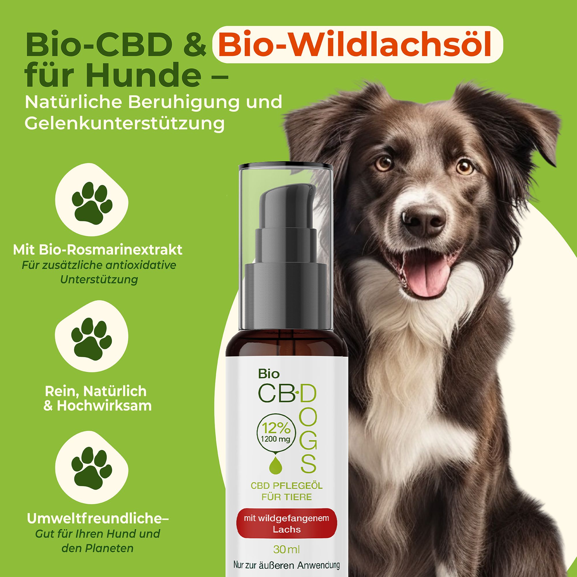 Hund neben CBD-Öl-Flasche. Text: Bio-CBD & Bio-Wildlachsöl für Hunde. Logo: hemp4help. Abbildung: Pfoten.