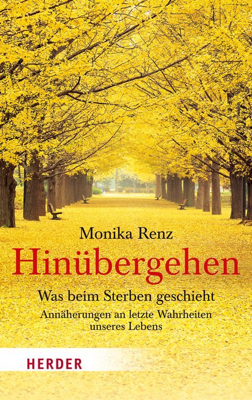 Buchcover mit Titel "Hinübergehen" von Monika Renz. Gelbe Blätter auf dem Boden, Bäume bilden einen Weg. Verlag HERDER.