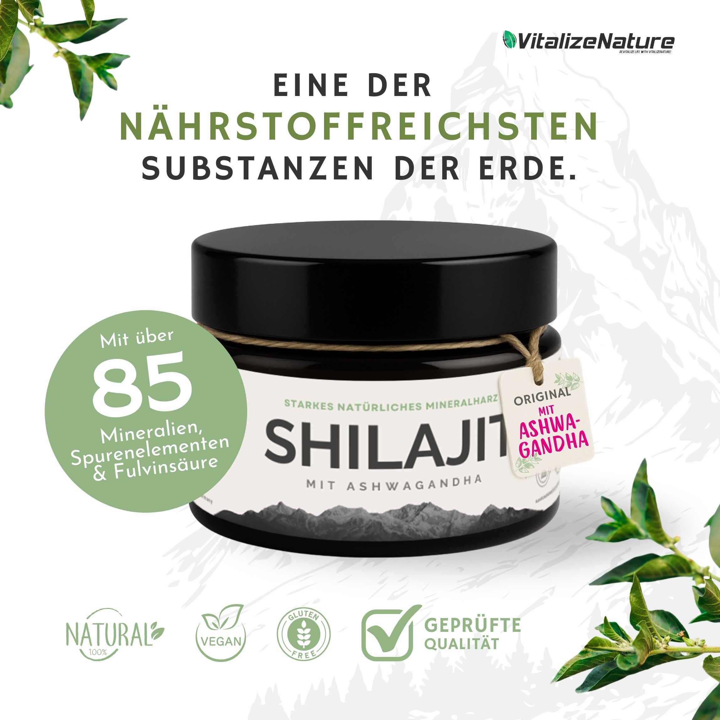 VitalizeNature Shilajit mit Ashwagandha