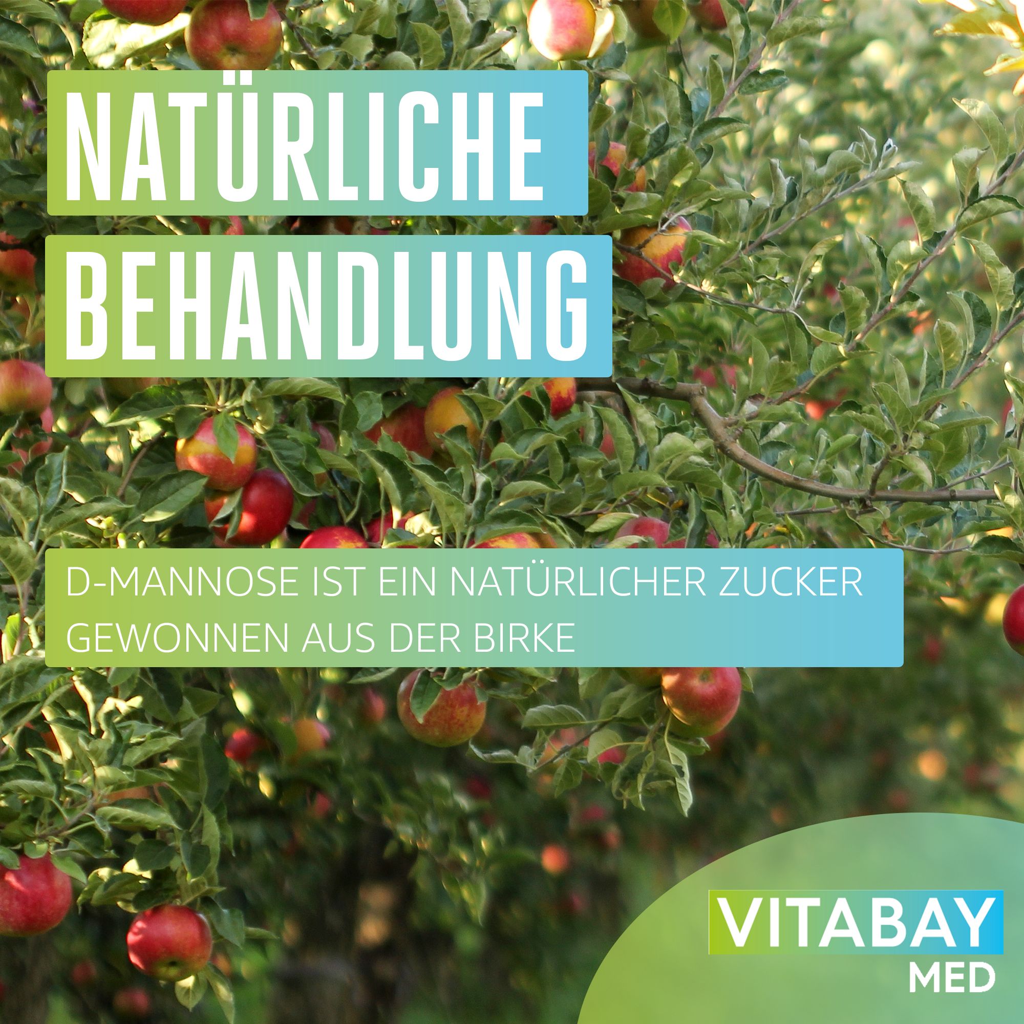 Vitabay D Mannose Pulver aus Birke 200 g - Shop Apotheke