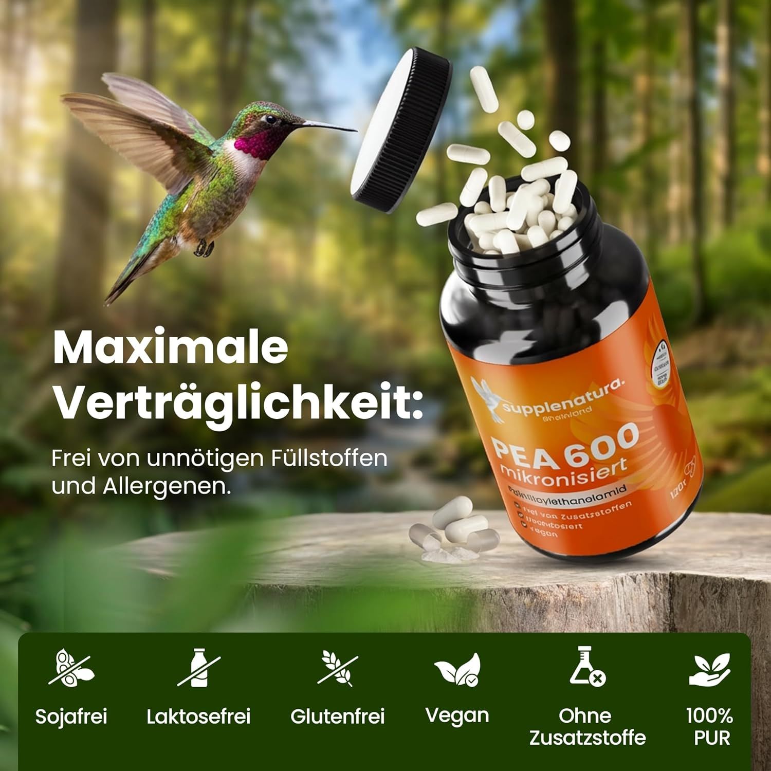 Dose supplenatura® PEA 600 mikronisiert. Kapseln fallen heraus. Text: Maximale Verträglichkeit. Frei von unnötigen Füllstoffen.
