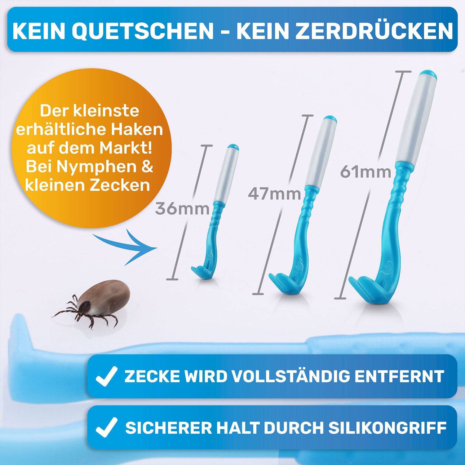 Drei blaue Zeckenhaken unterschiedlicher Größe. Größenangaben in mm. Abbildung einer Zecke.