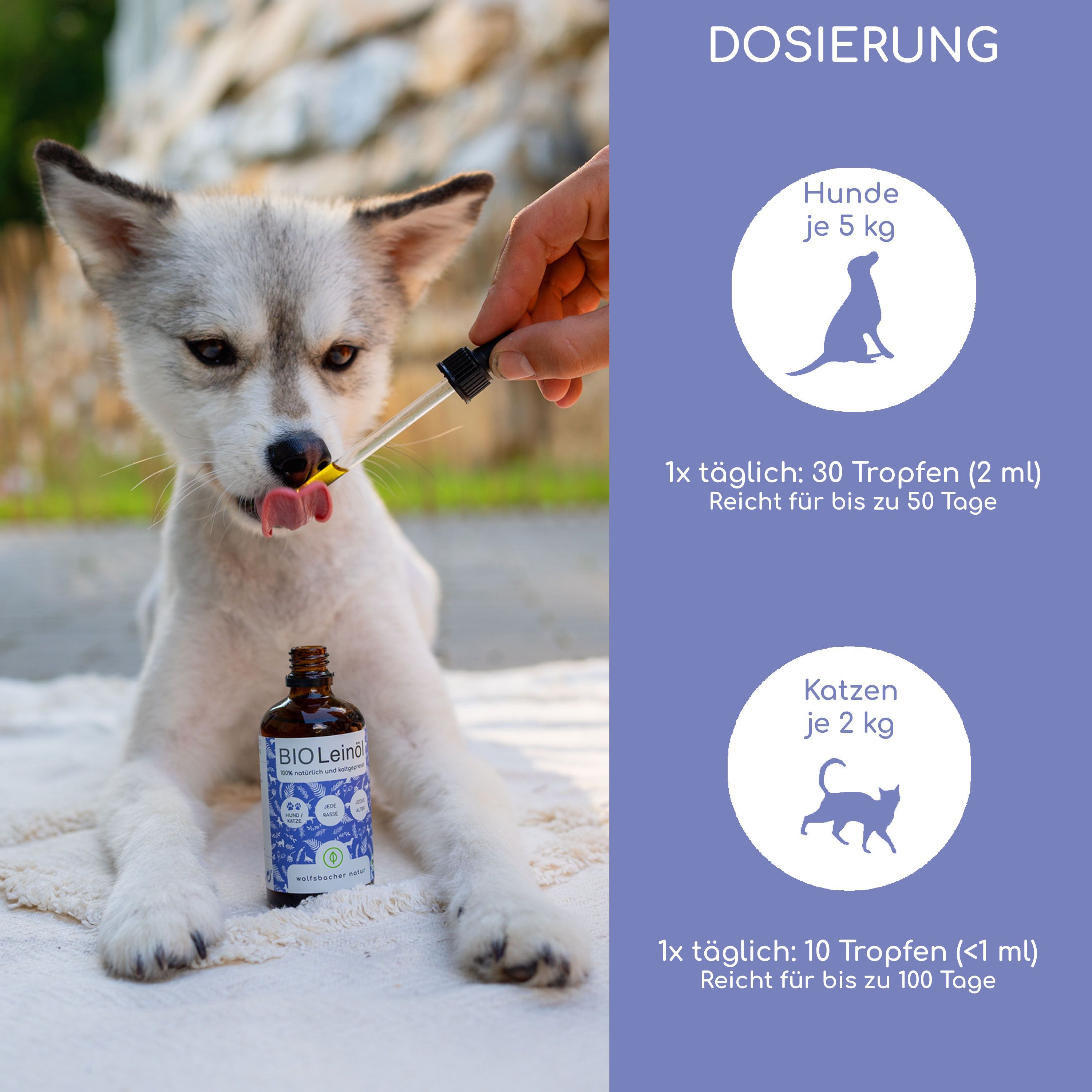 Hund bekommt Tropfen BIO Leinöl. Dosierung: Hunde 5 kg, 1x täglich 30 Tropfen. Katzen 2 kg, 1x täglich 10 Tropfen.