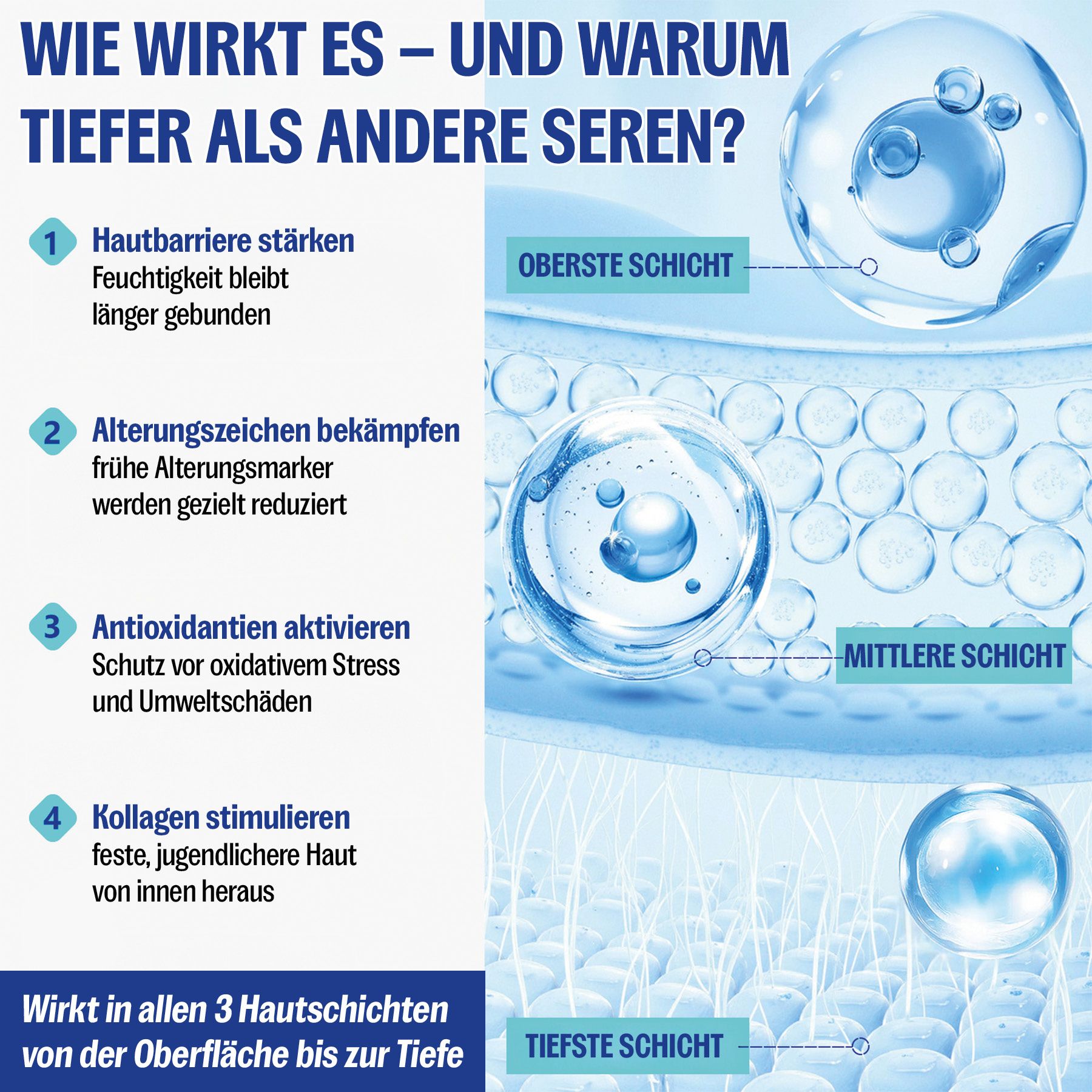 Grafik erklärt die Wirkung von Seren in verschiedenen Hautschichten: Stärkung der Hautbarriere, Bekämpfung von Alterszeichen, Aktivierung von Antioxidantien, Stimulierung von Kollagen.